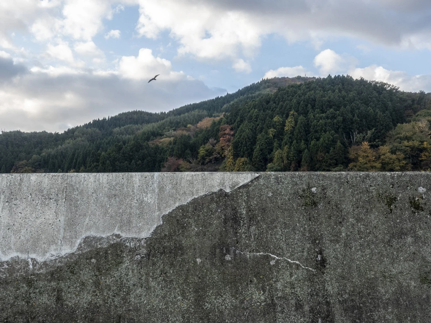 Kasshi River wall, Kamaishi (2022)