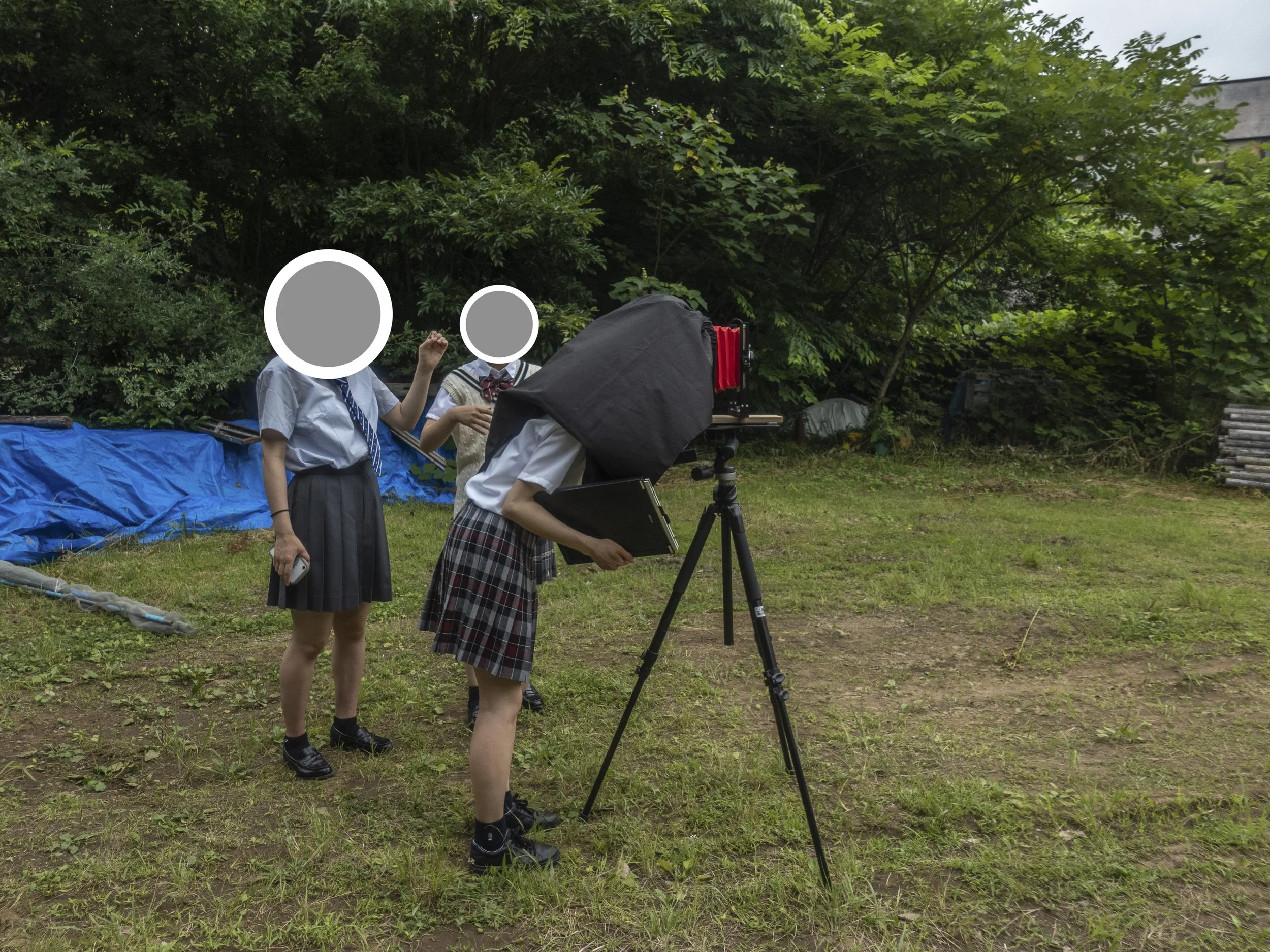 Looking through an 8x10 camera