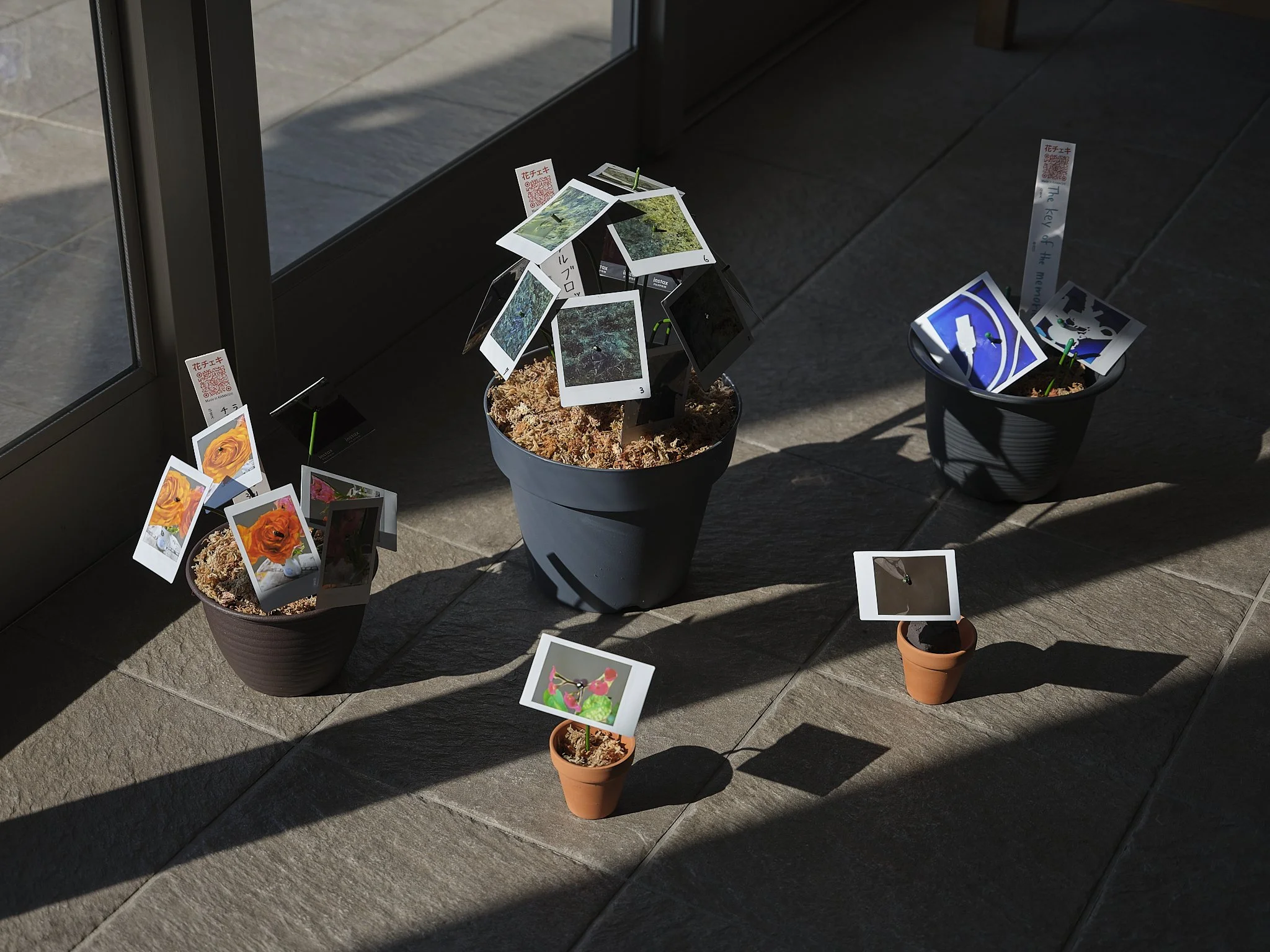 A display of artificial flowers made from photograms