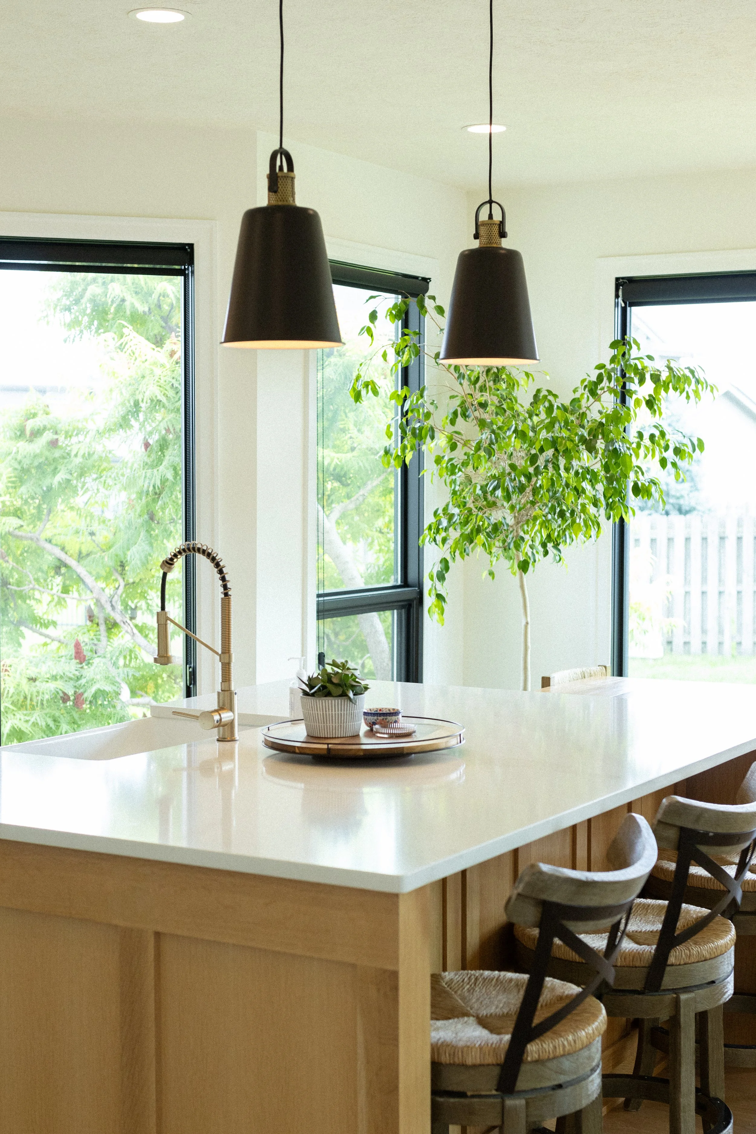 Saddlebrook Remodel