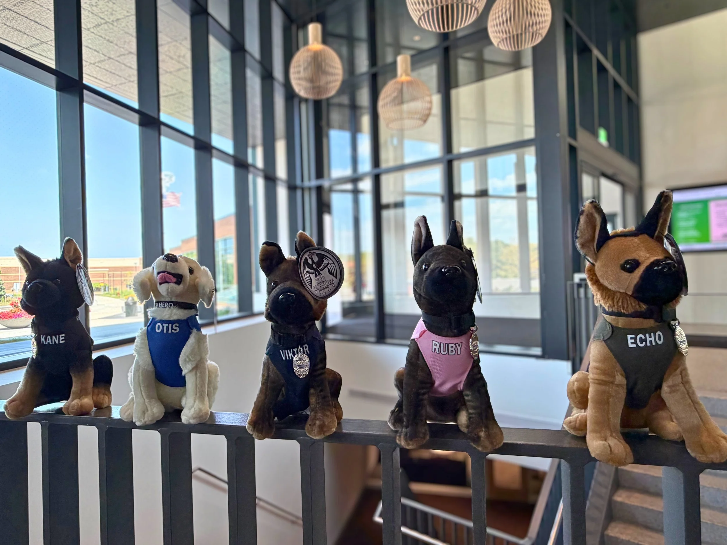 Stuffies6.jpg