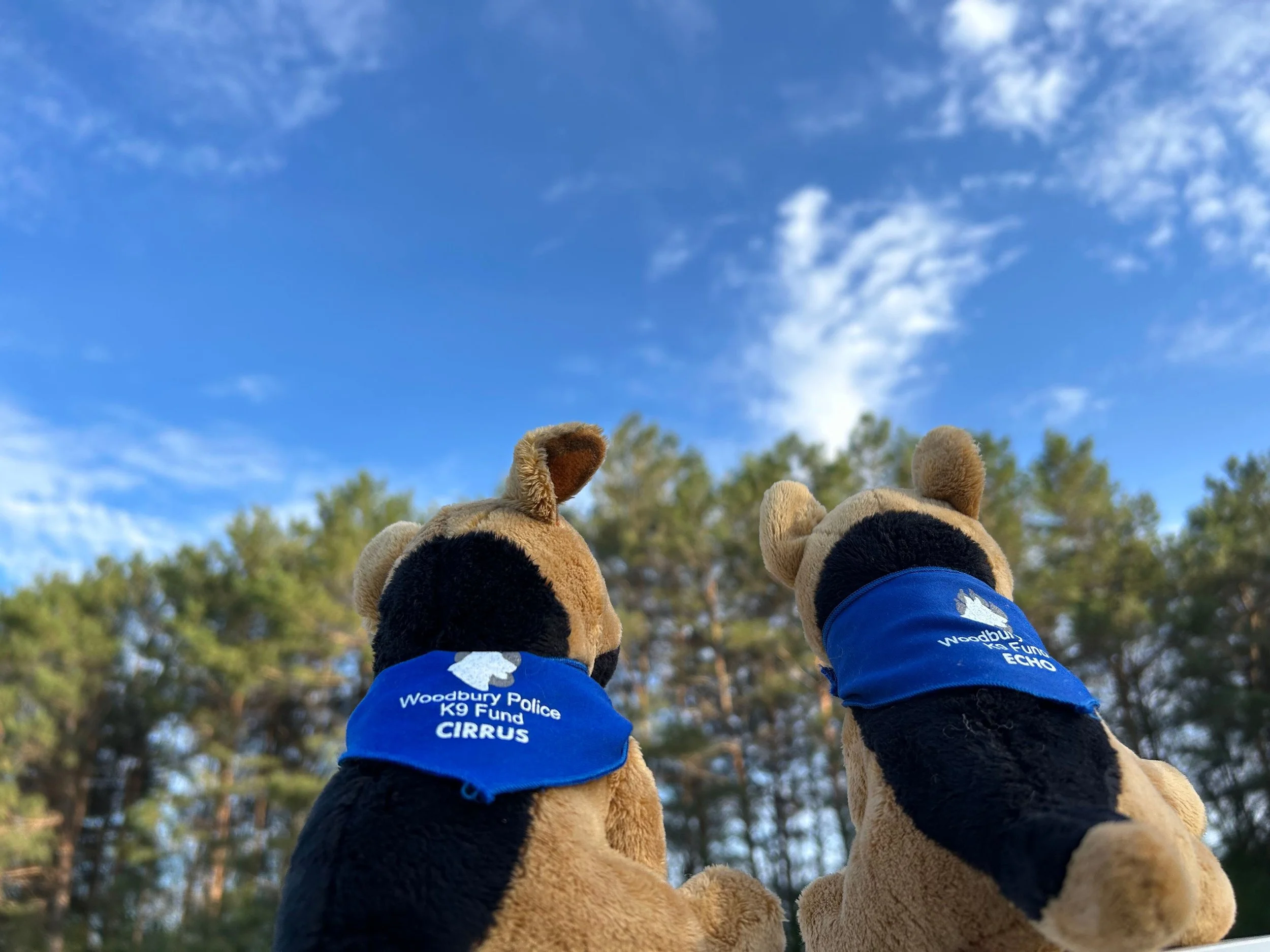 K9 Stuffed Mascot Virtual Scavenger Hunt