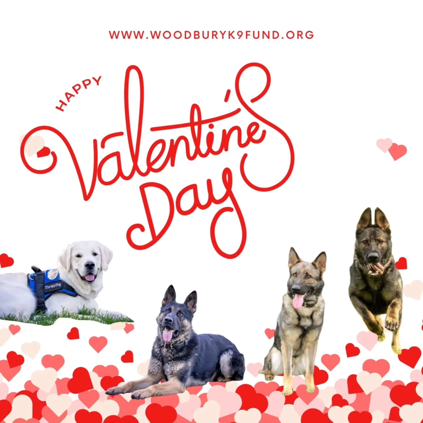 Happy Valentine's Day from our family to yours! 🥰🐾😍

#k9fund #woodburyk9fund #k9handler #k9dogs #k9team 

@woodburyminnesota @woodburypd