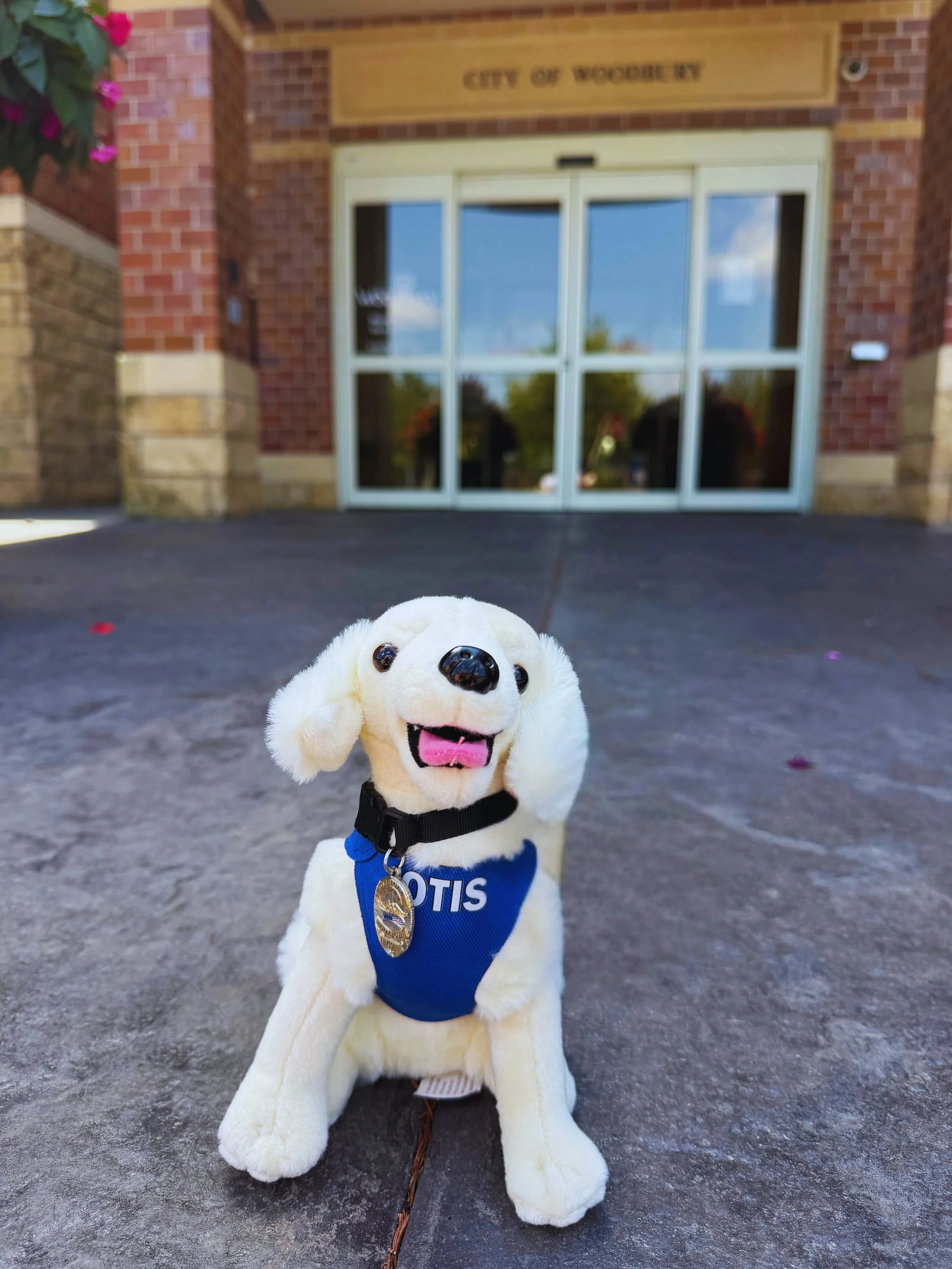 Otis2.jpg