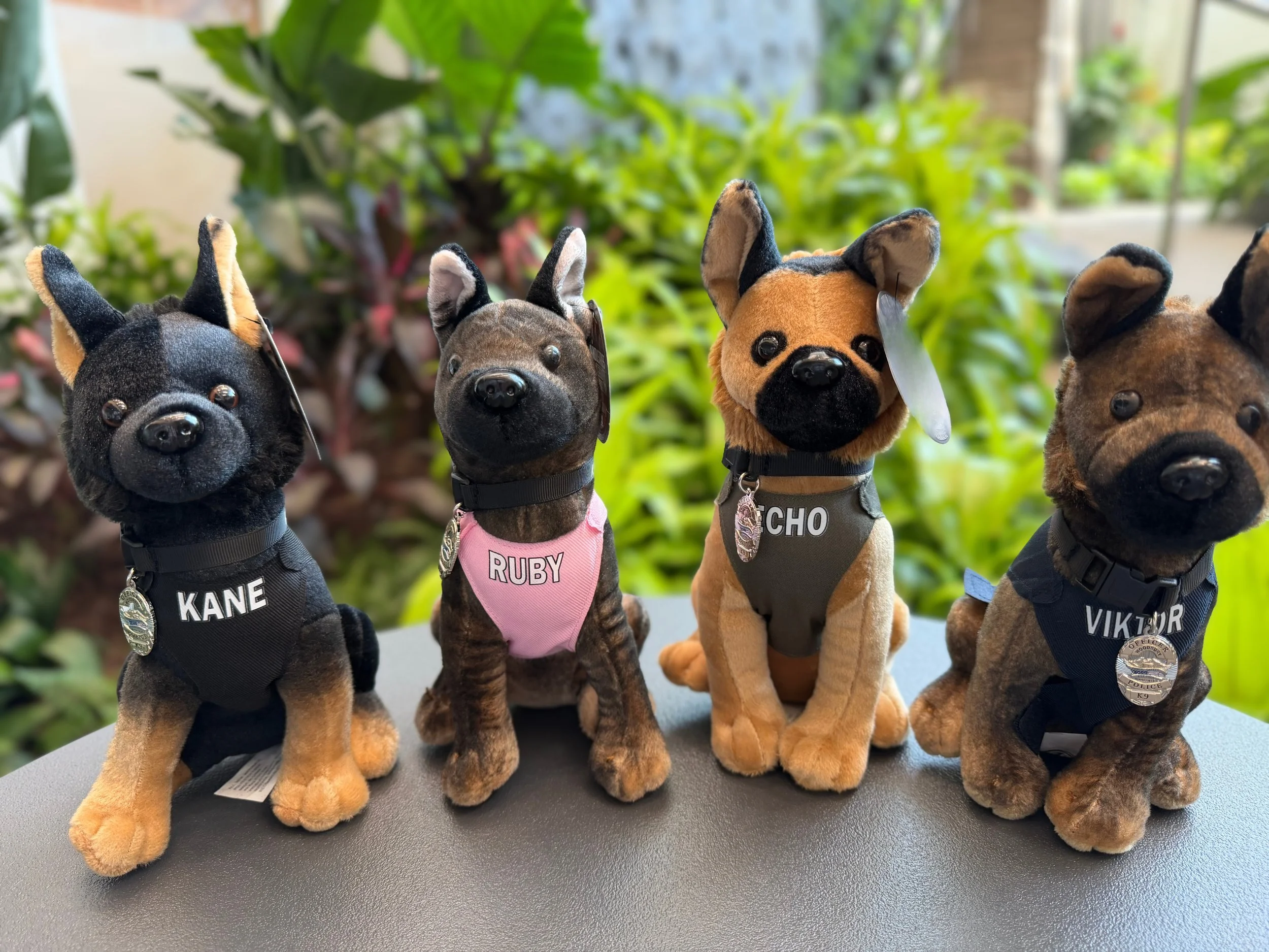 Stuffies3.jpg