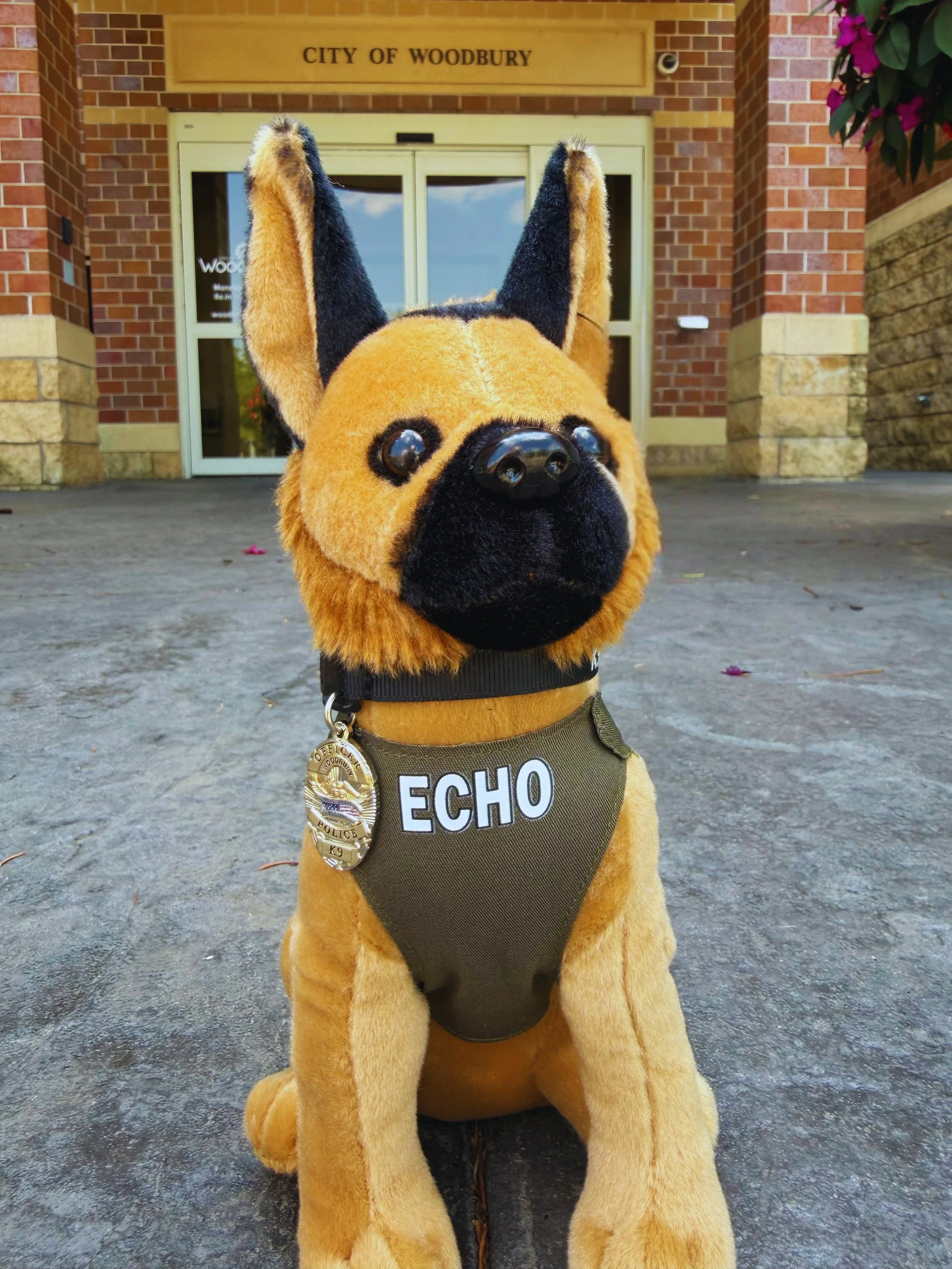 Echo2.jpg
