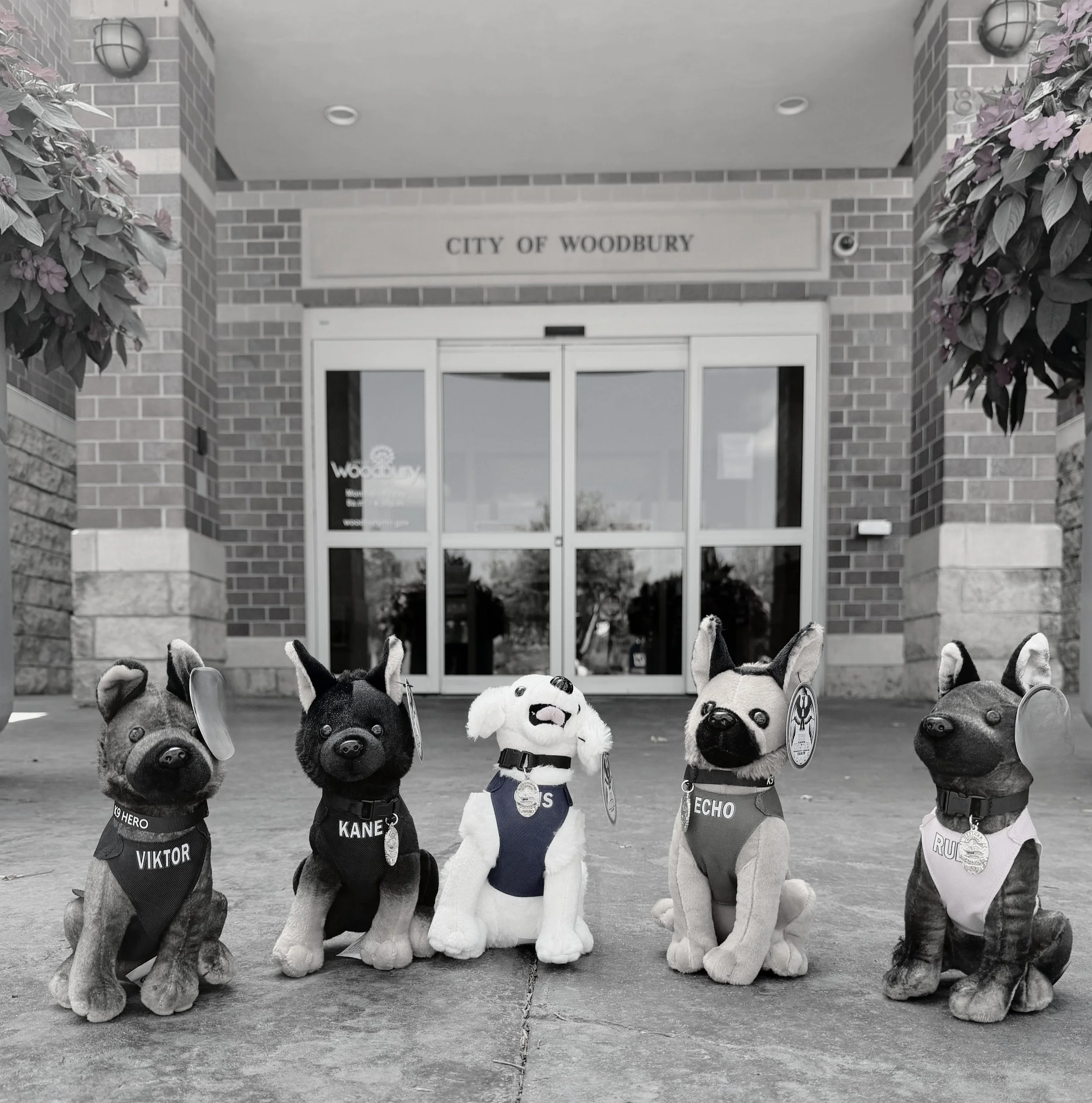 Stuffie2026BW.jpg