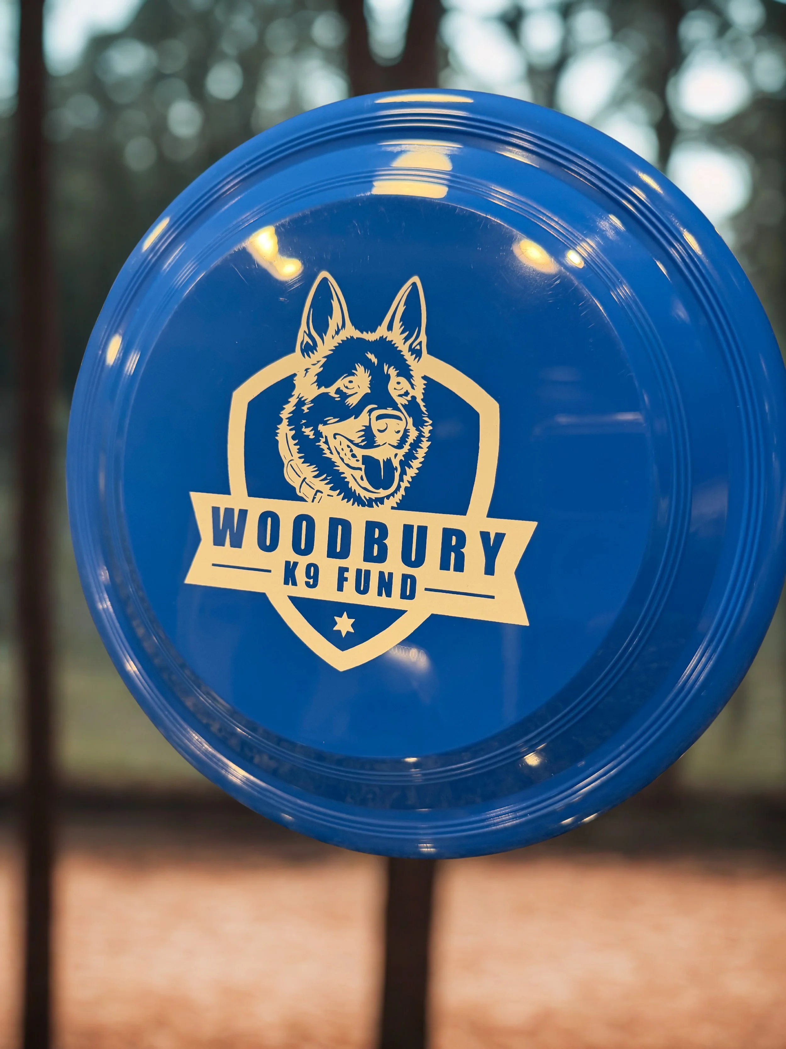 Frisbee 9"