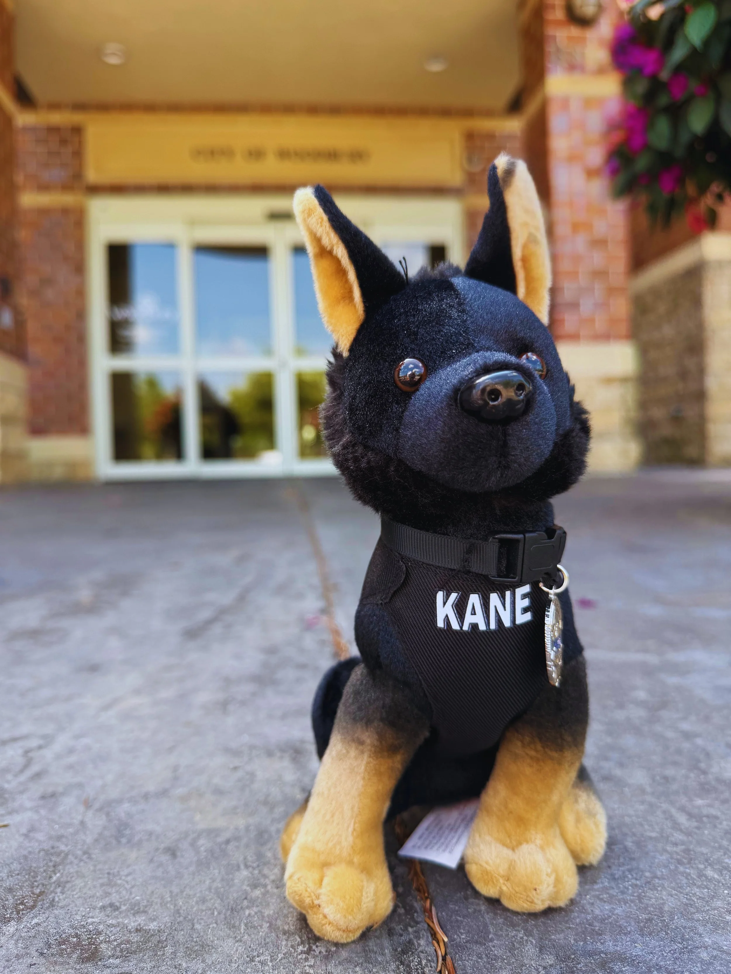 Kane2.jpg