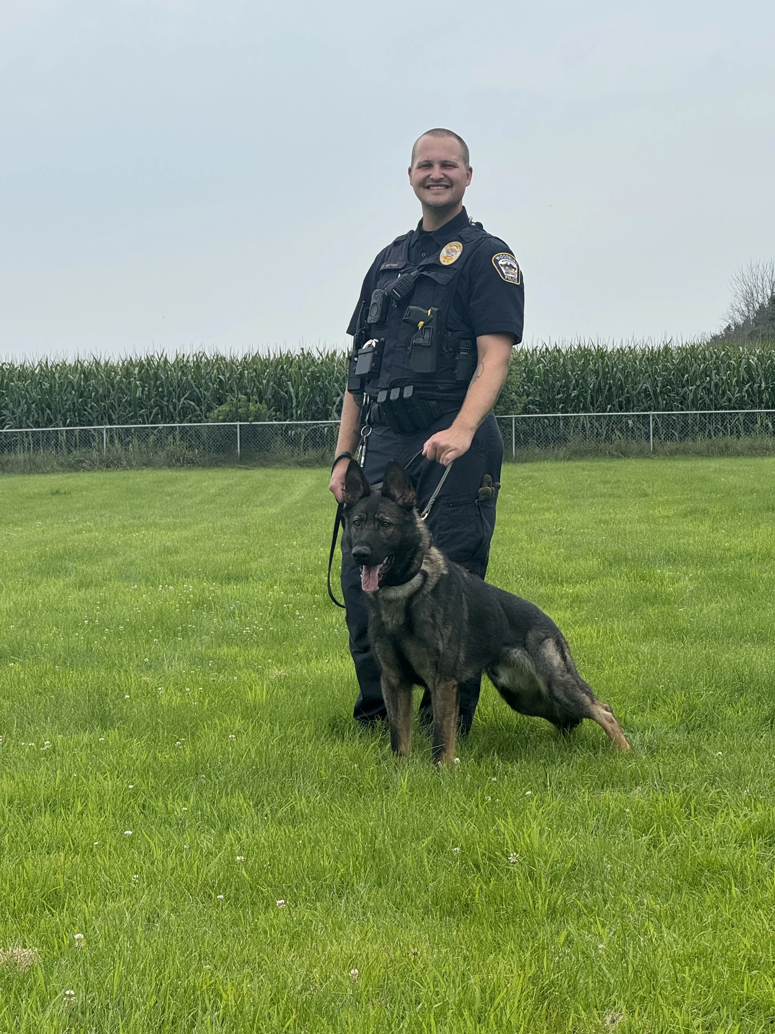 A police officer standing on a grassy field with a police dog during daytime, with a cornfield and cloudy sky in the background.