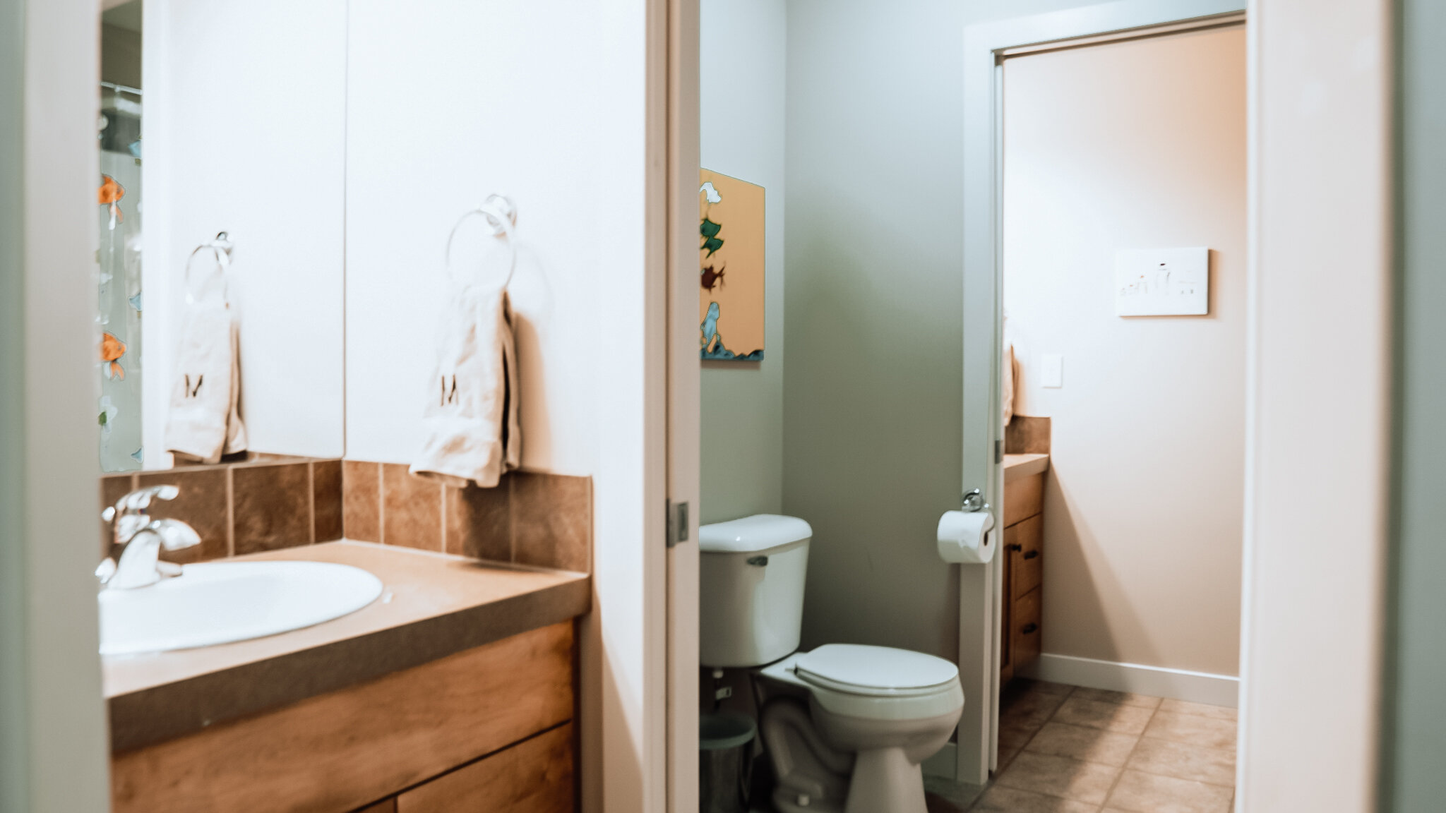 walkthruwashroom.jpg
