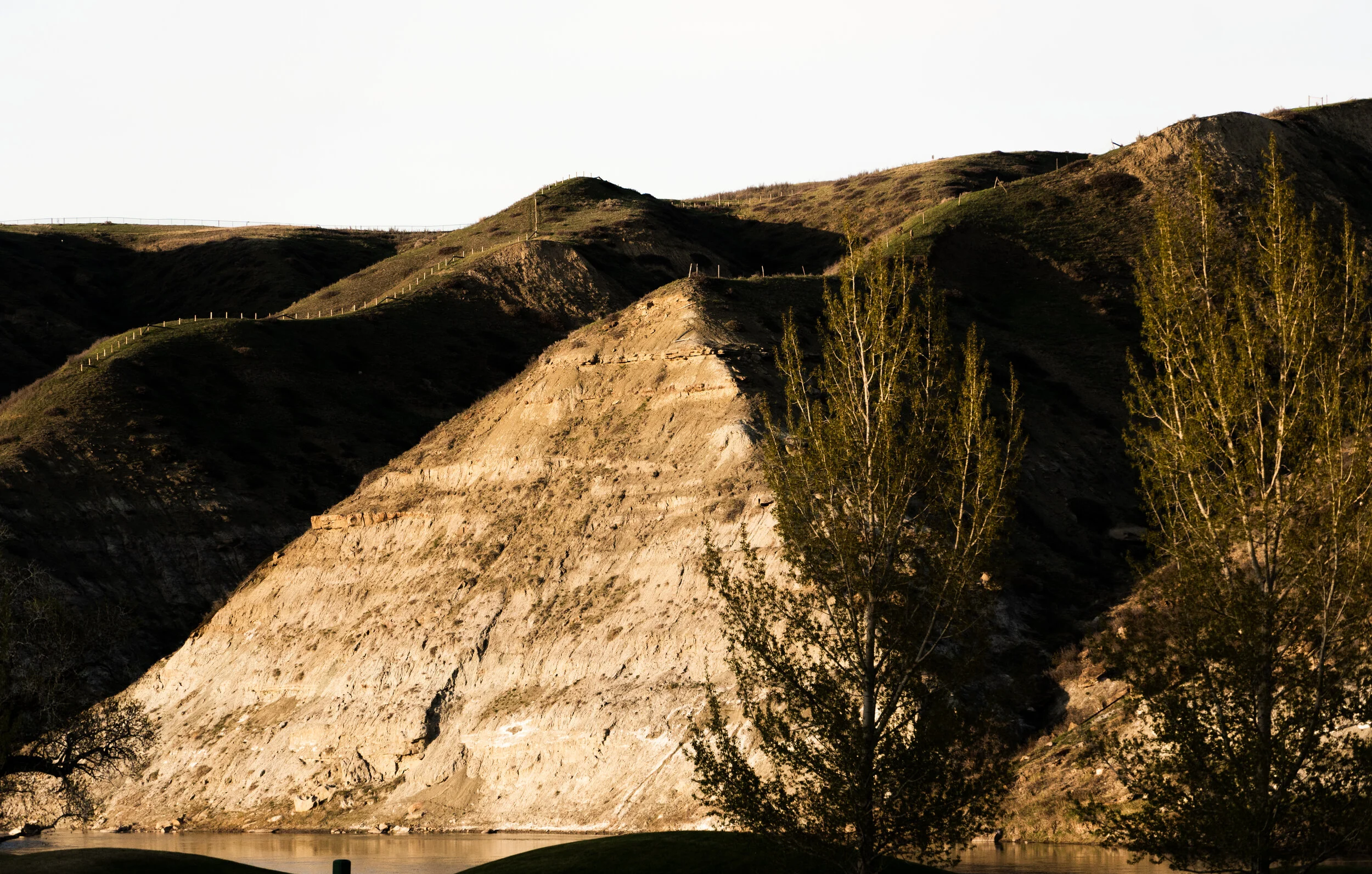 _DSC8866.jpg