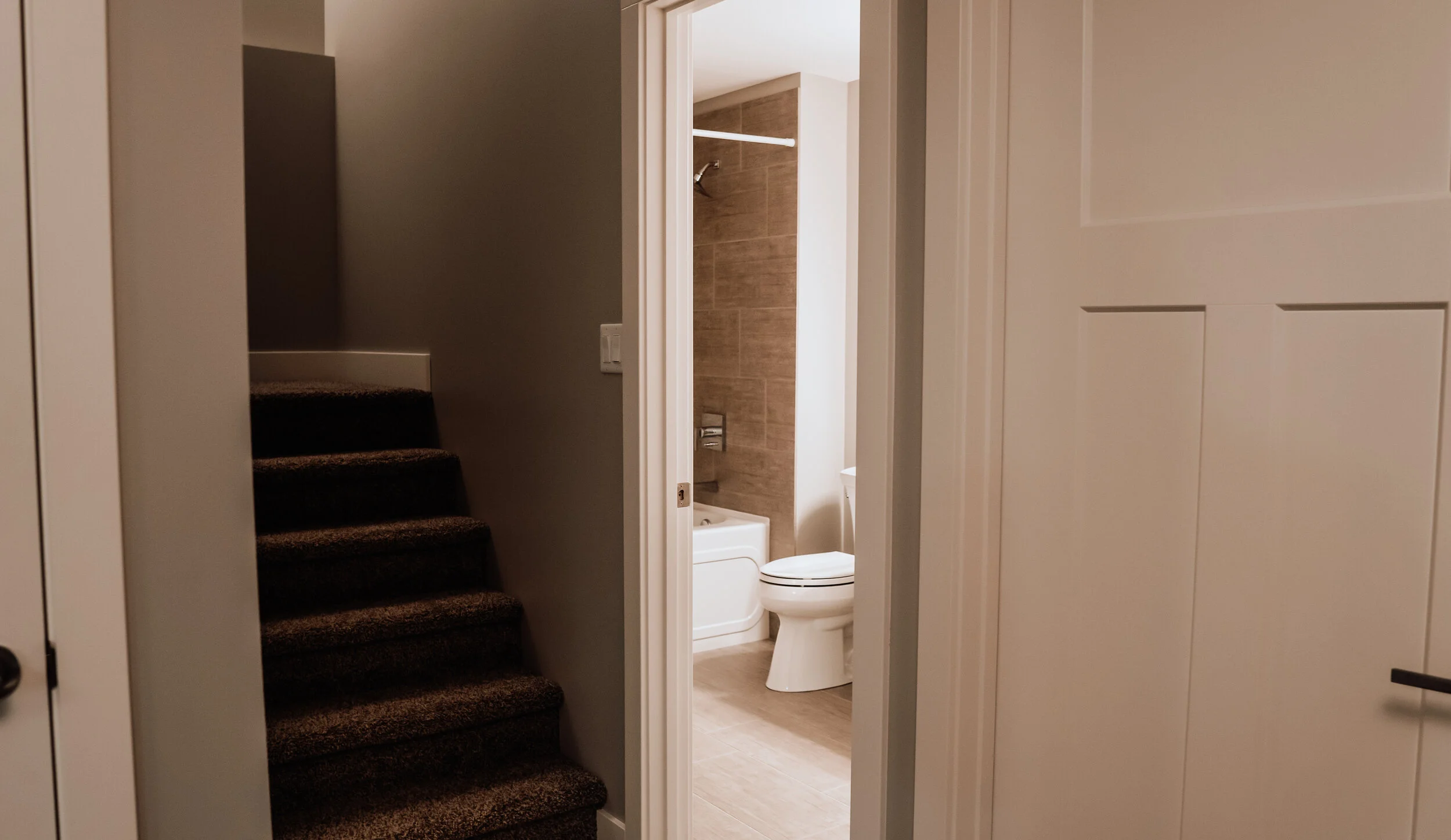 BASEMENT BATHROOM PEAK.jpg