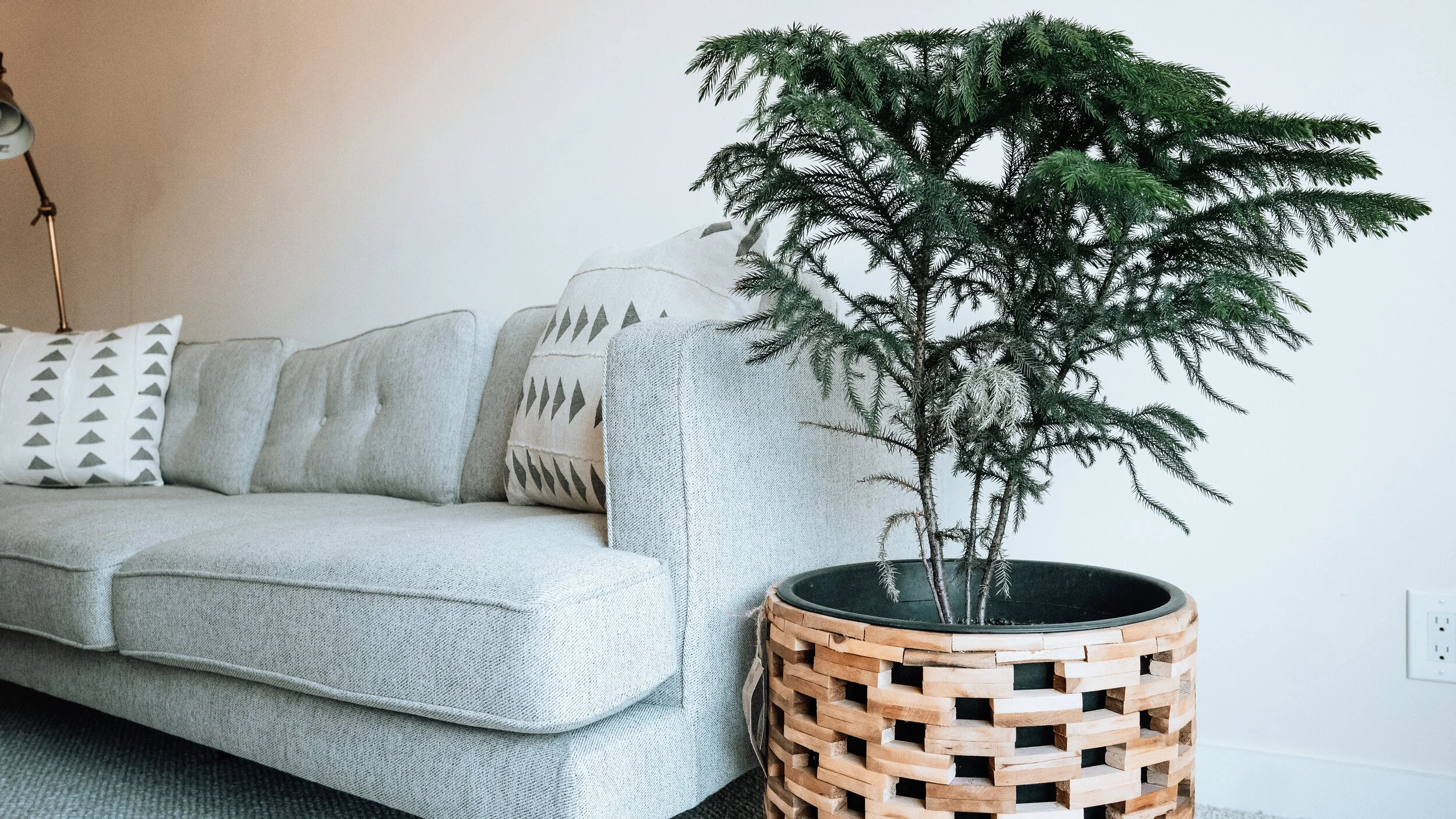 couchmood.jpg