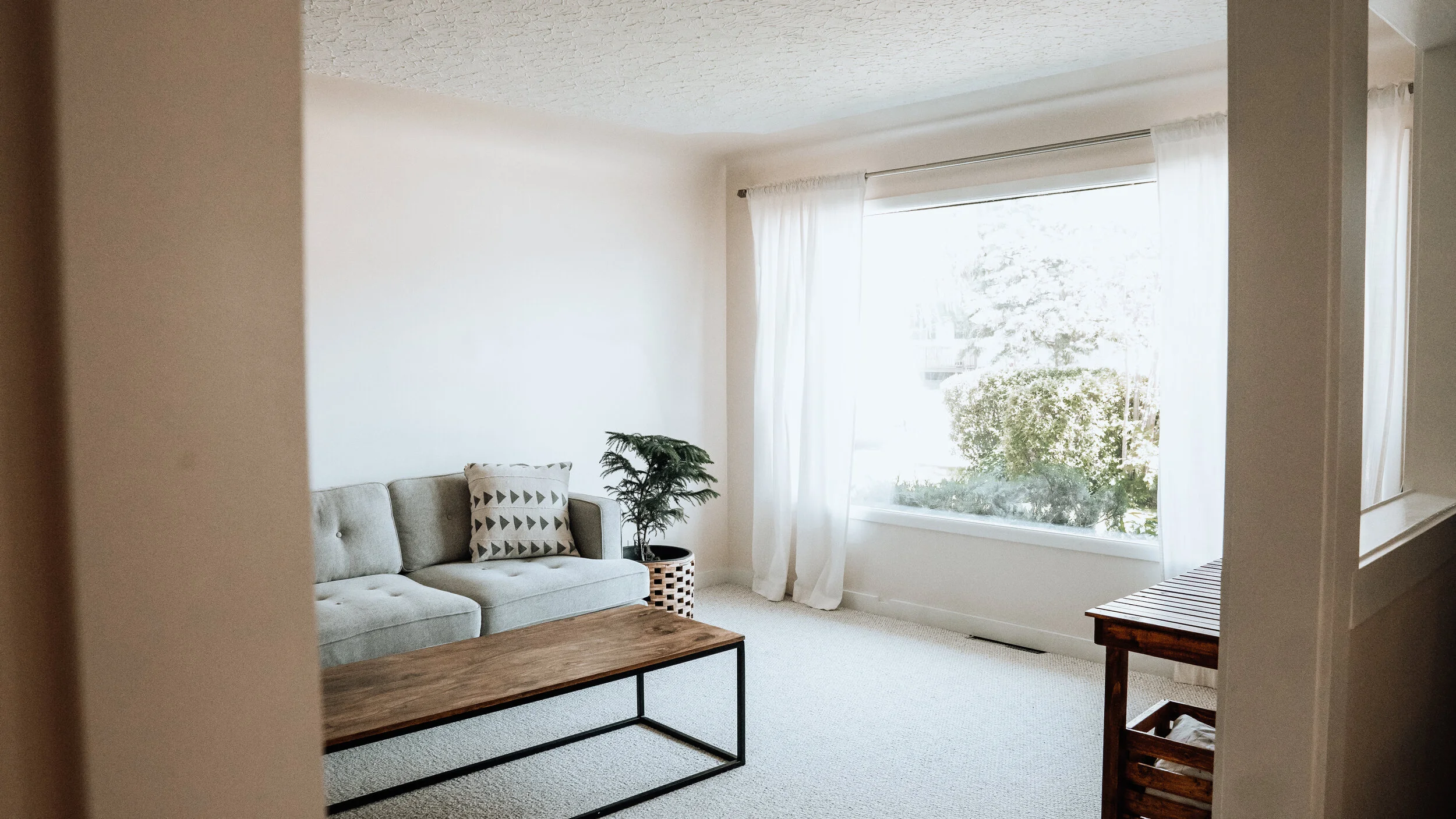 livingroom2 copy.jpg