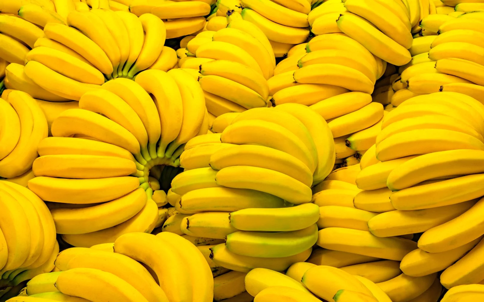 ripe-unripe-bananas.jpg