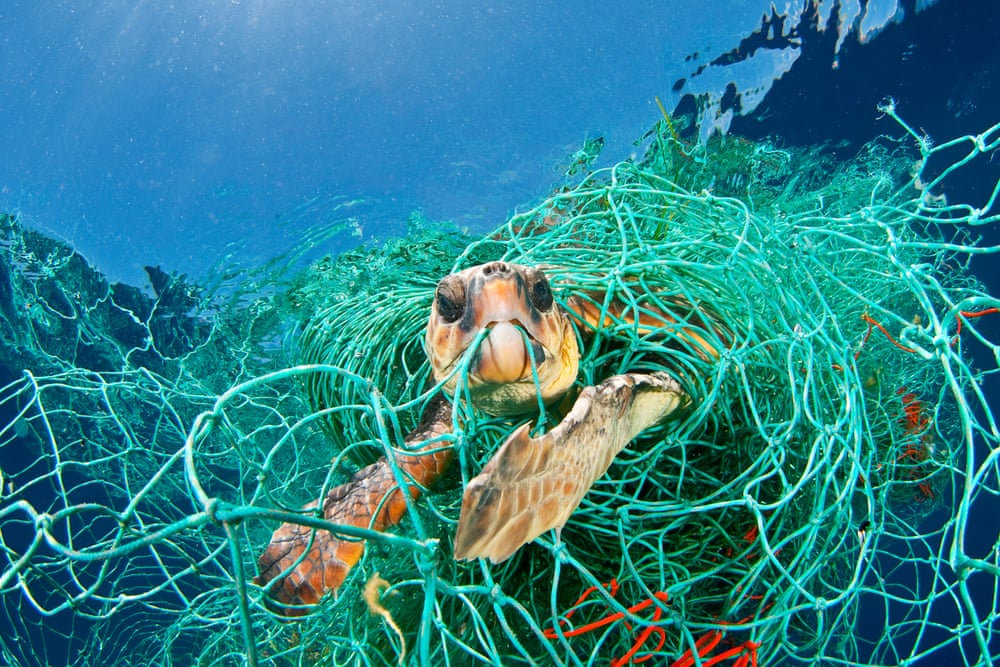 Plastic10_JordiChiasNPLWWF.jpg