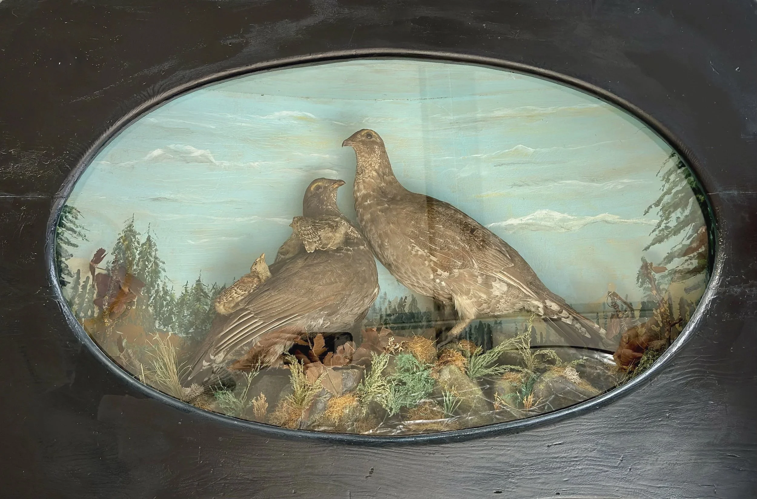 After-finished+grouse+diorama.jpg