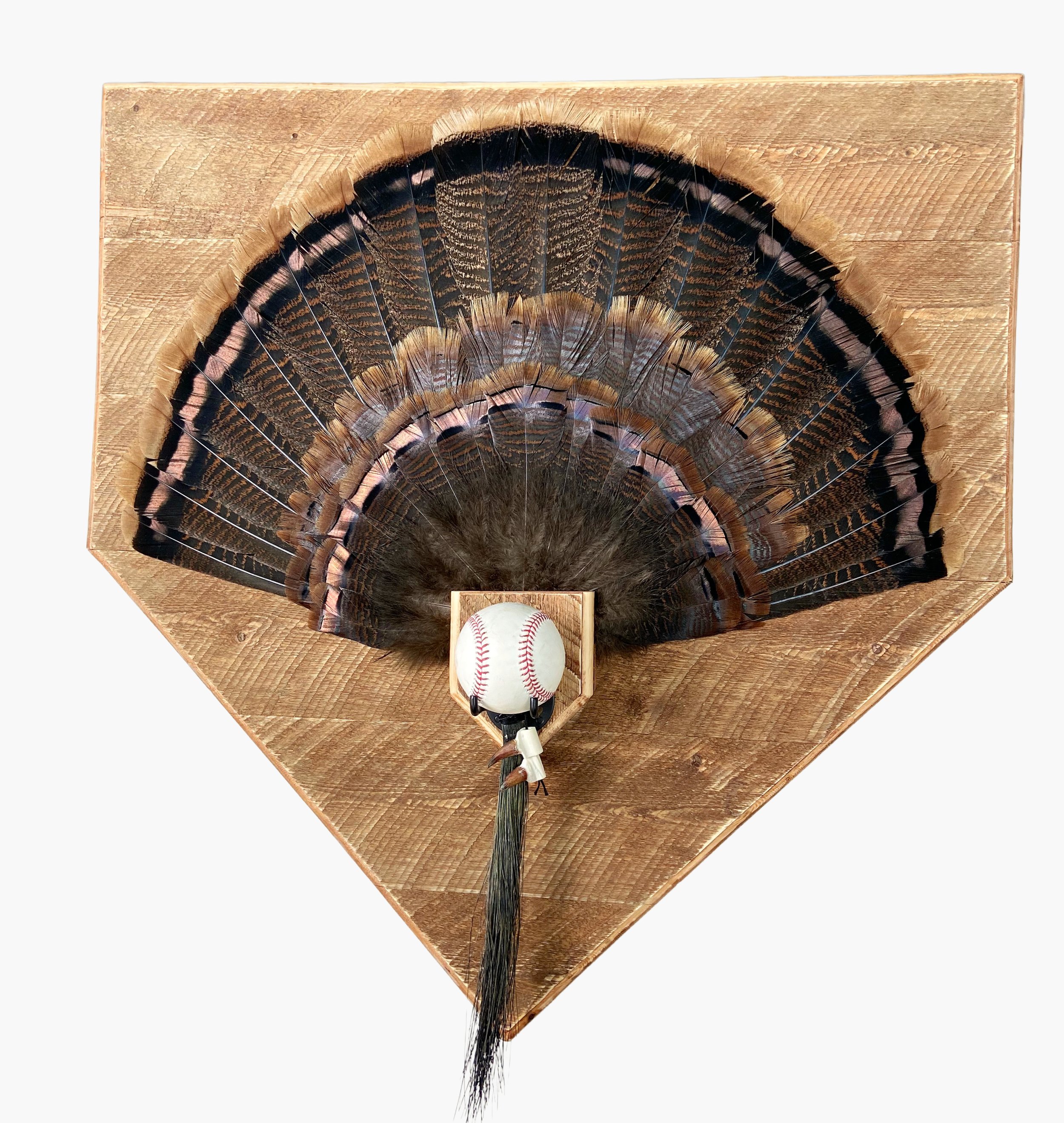 Baseball turkey tail fan, sold Mike Pensicloa June 2021 .jpg