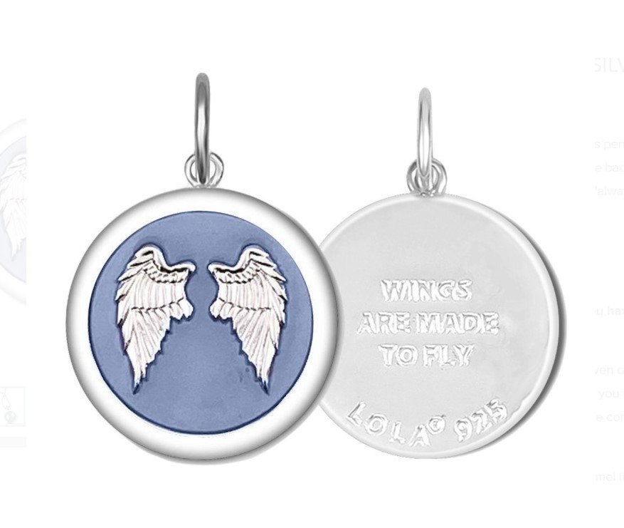 Angel Wings Fly Silver