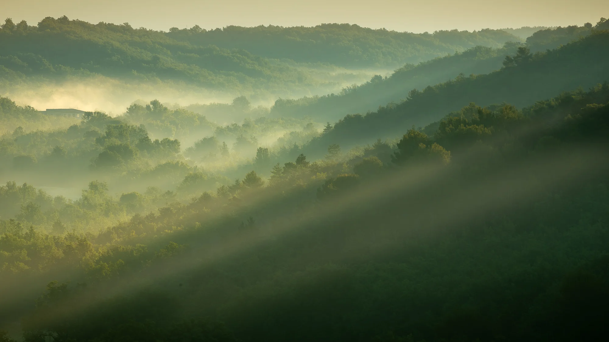 Foto Misty Mountains.jpg
