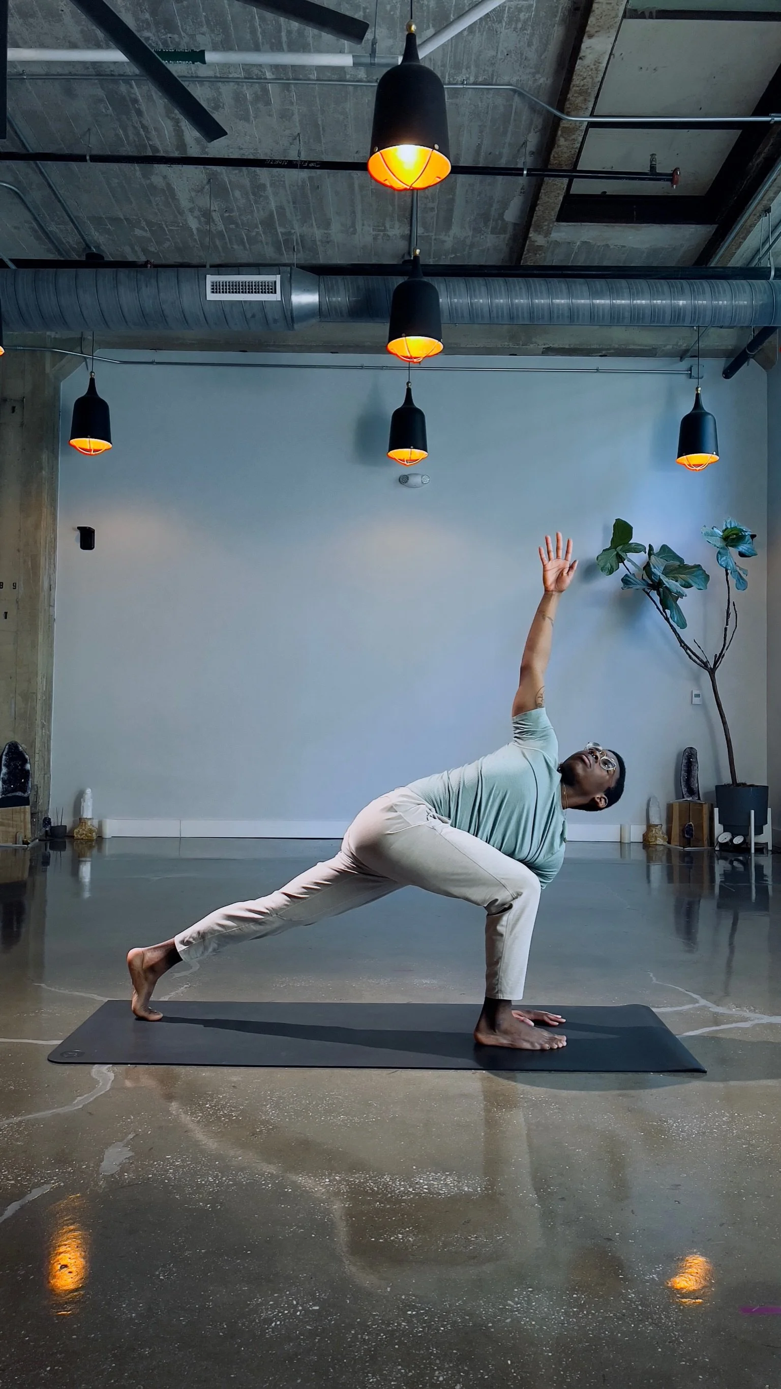 Ahimsa &amp; Abolition