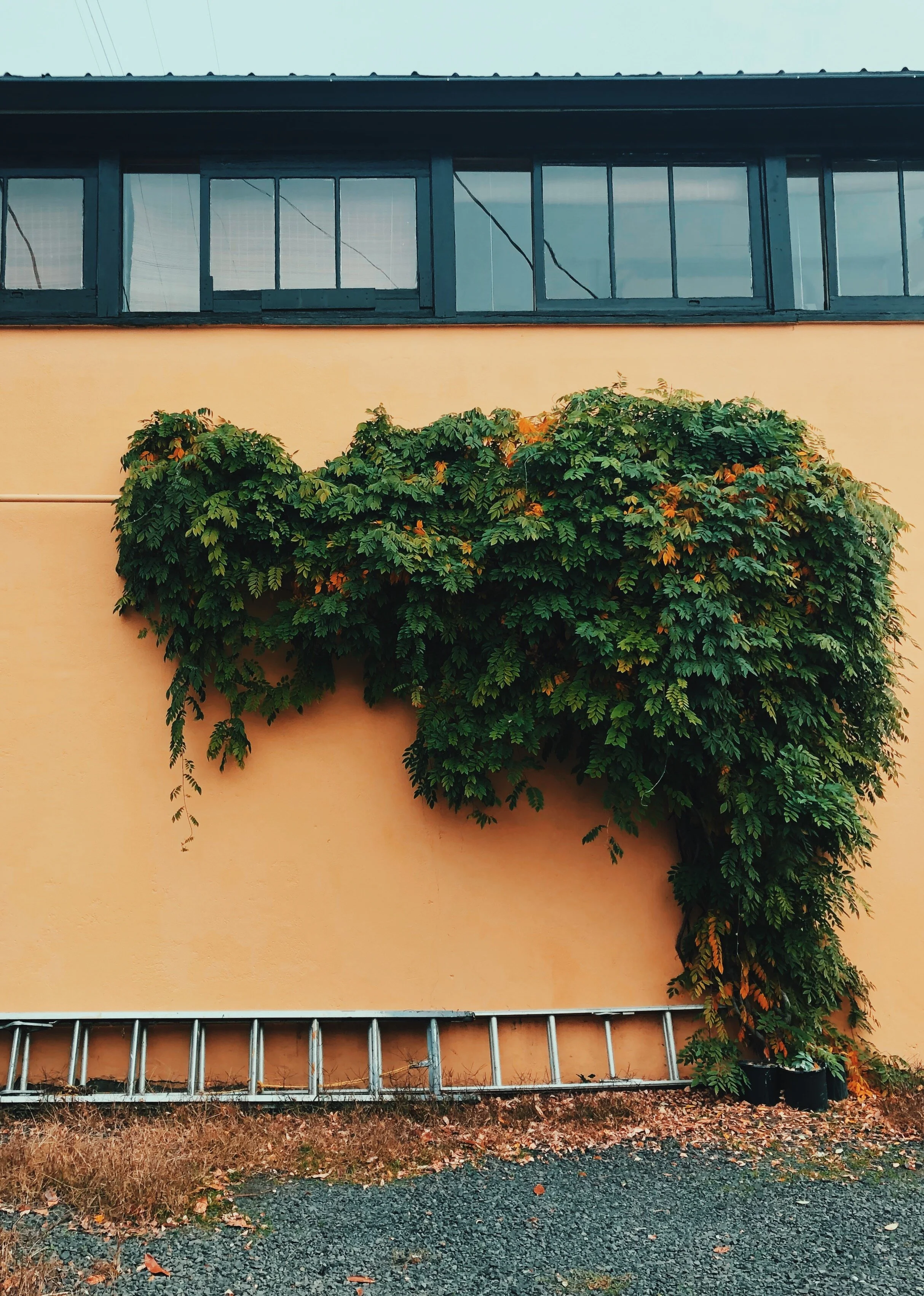 3C95A310-0825-4BE1-88DD-877B734DC67D 2.JPG