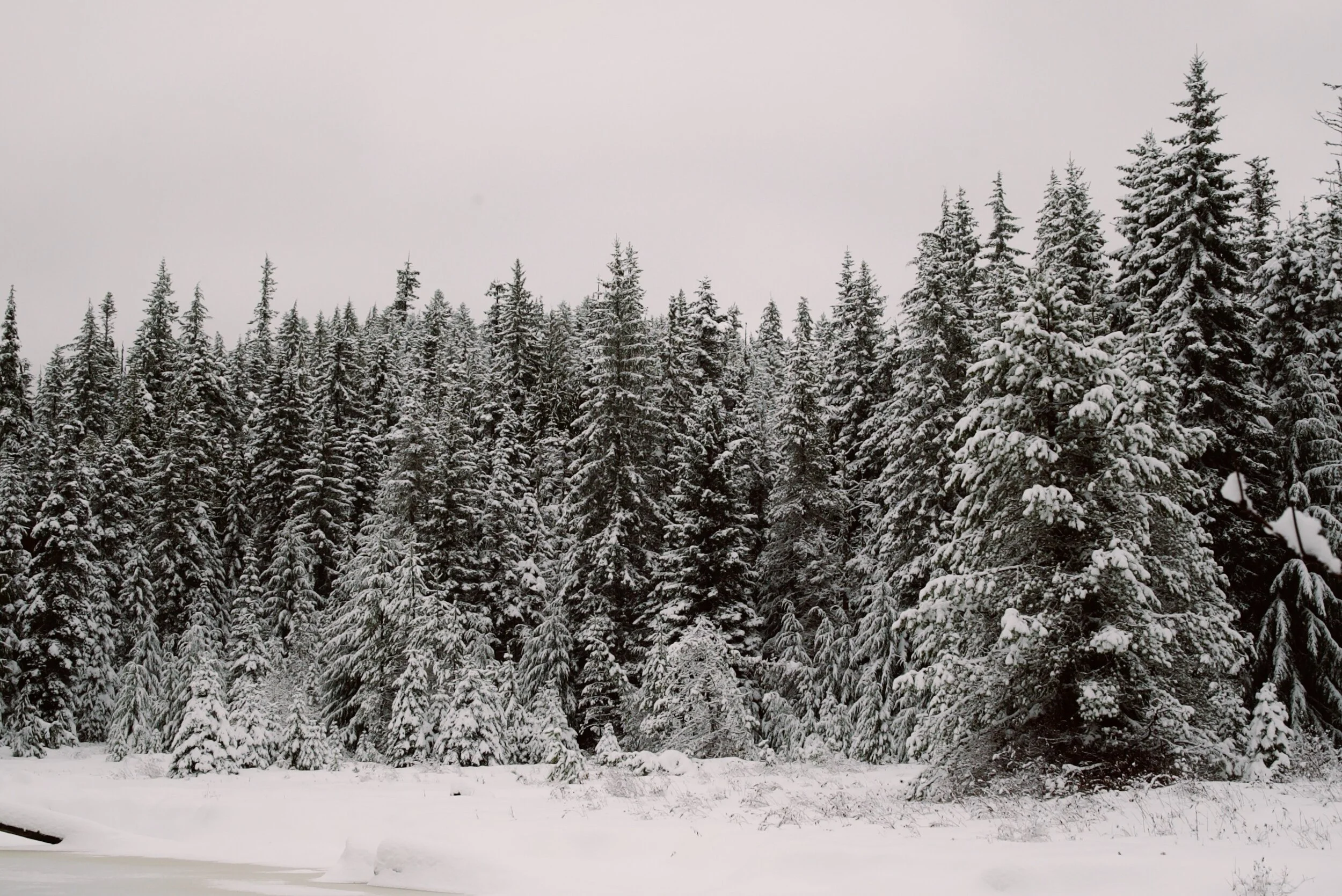 9E900905-27EB-41BA-A9F4-48E4449235F5.JPG