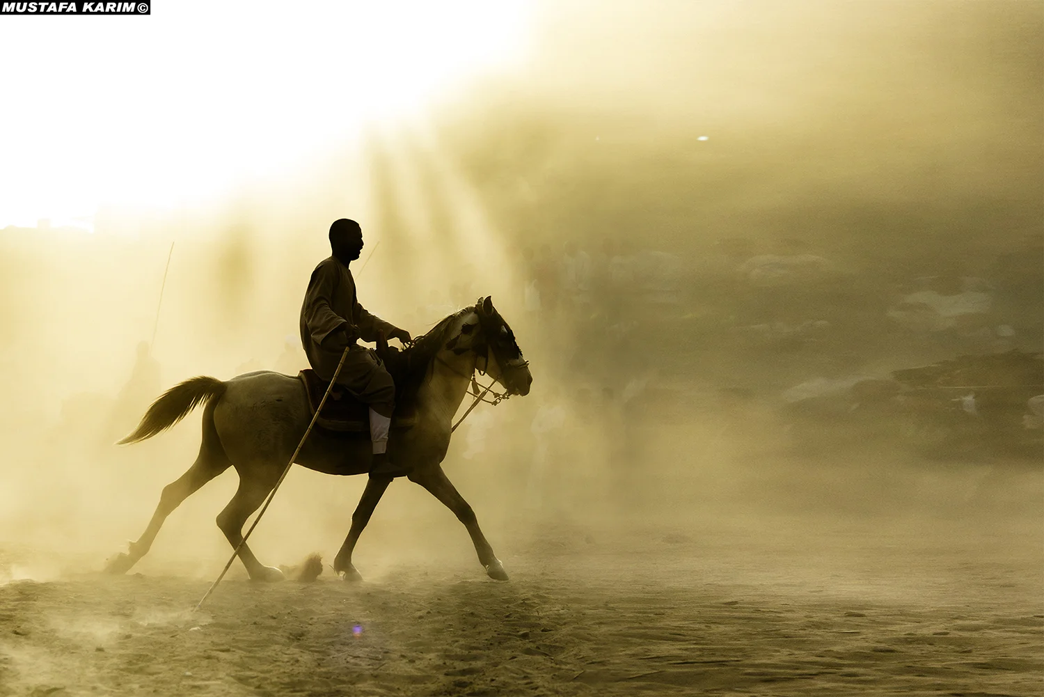 Horse and Rider
