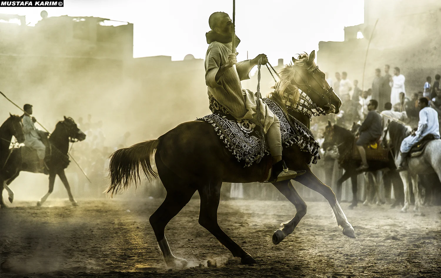 Horse Festival