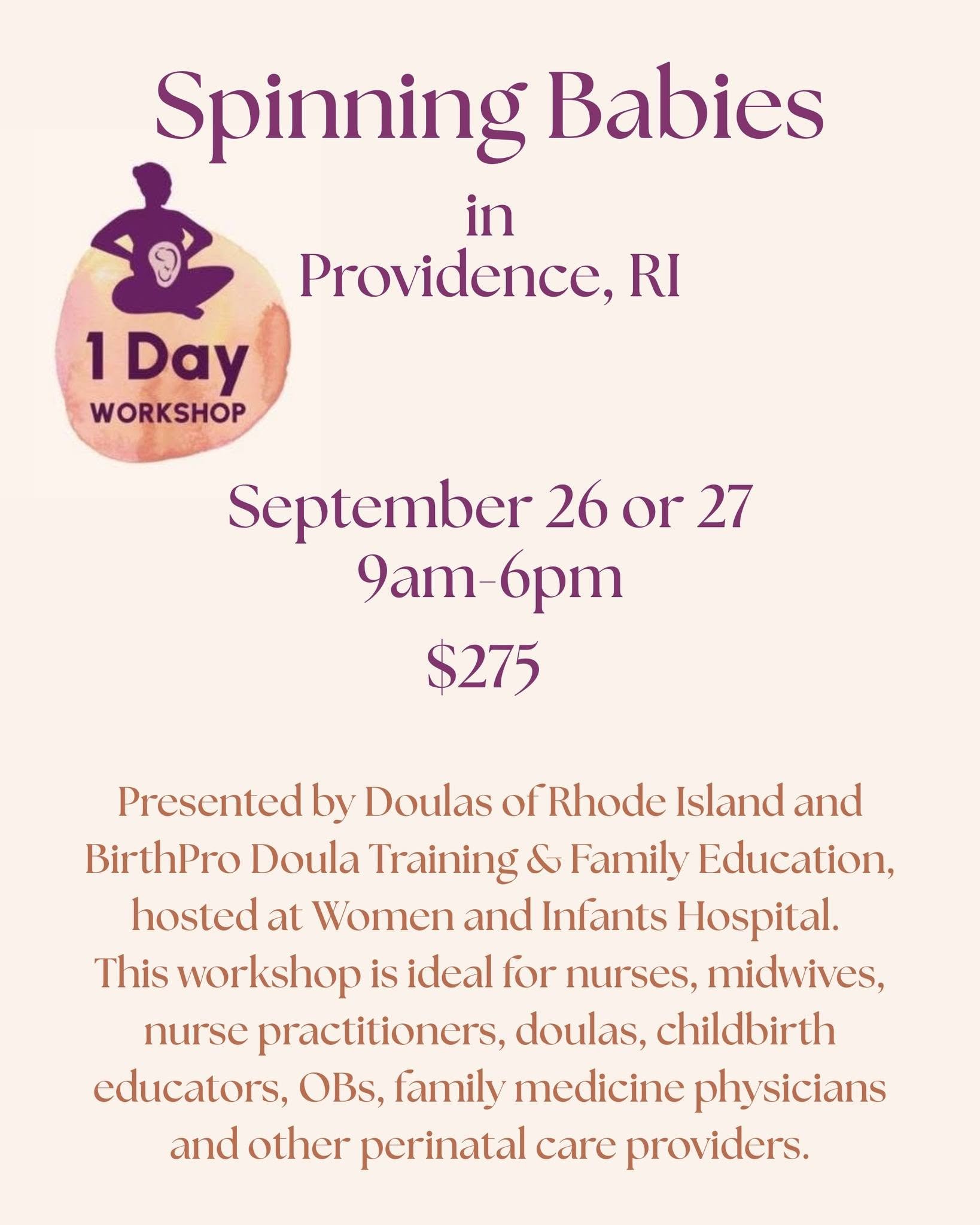 Spinning Babies 1-Day Workshop
