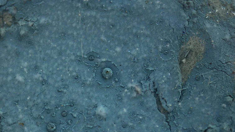 Moon Surface