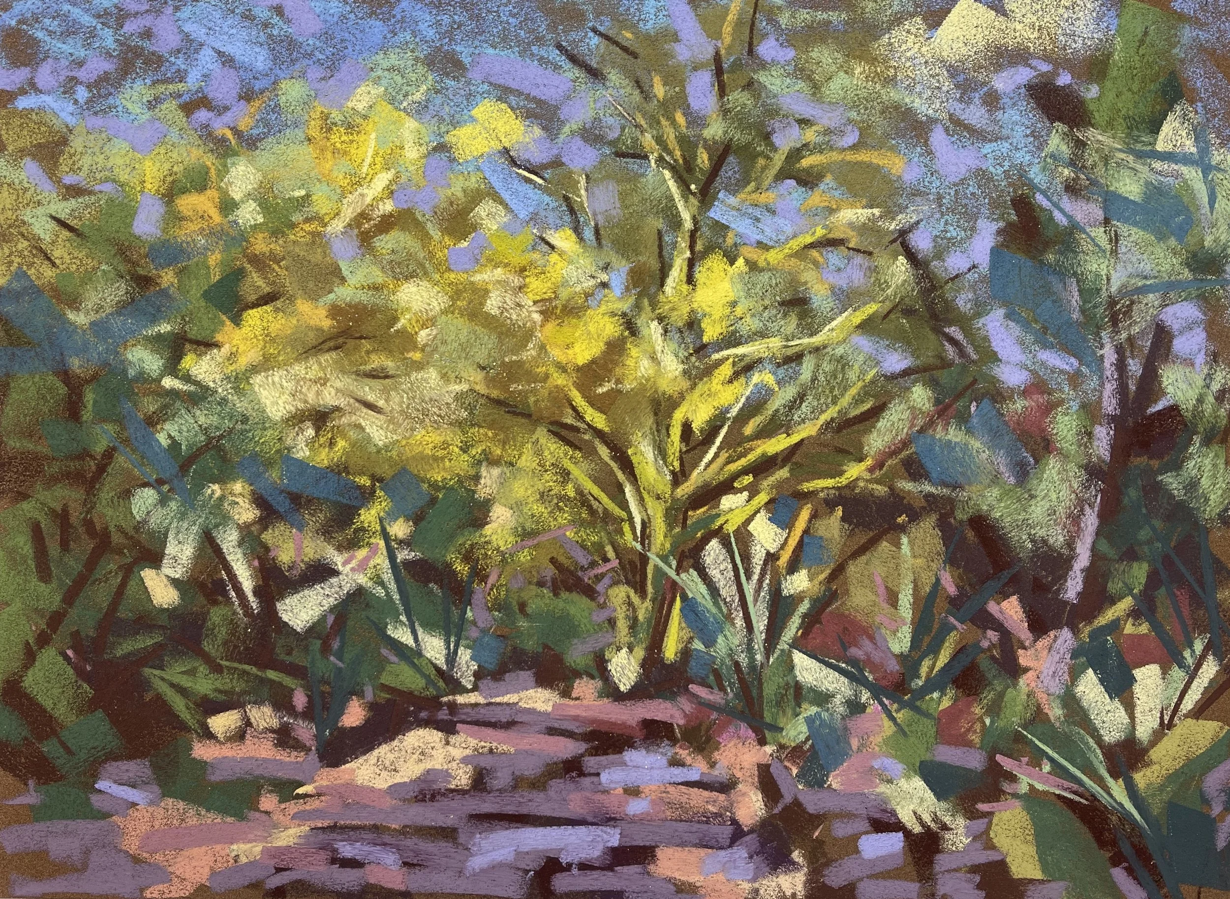 PA 1939 Palo Verde Botanical.jpeg