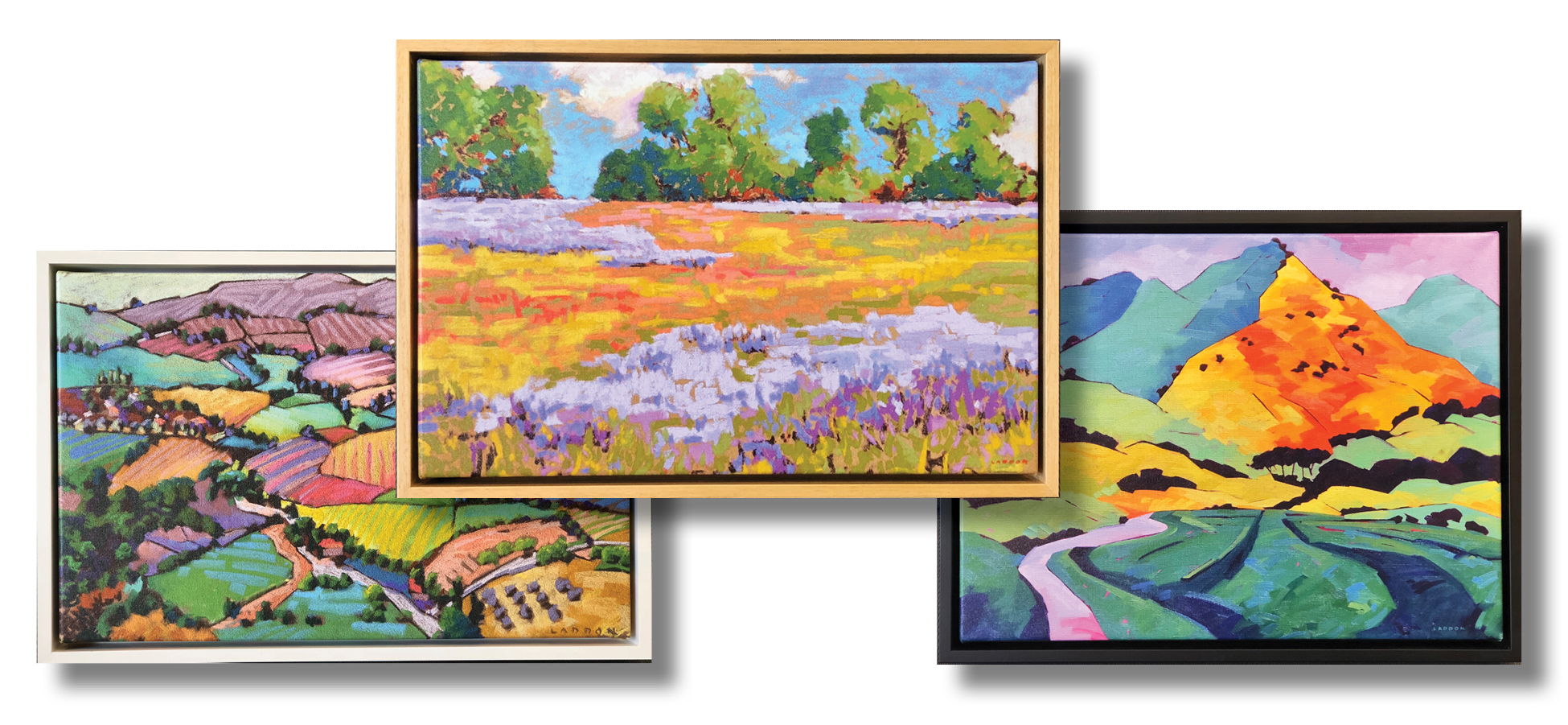FRAMING OPTIONS FOR Canvas Wraps final 2.jpg