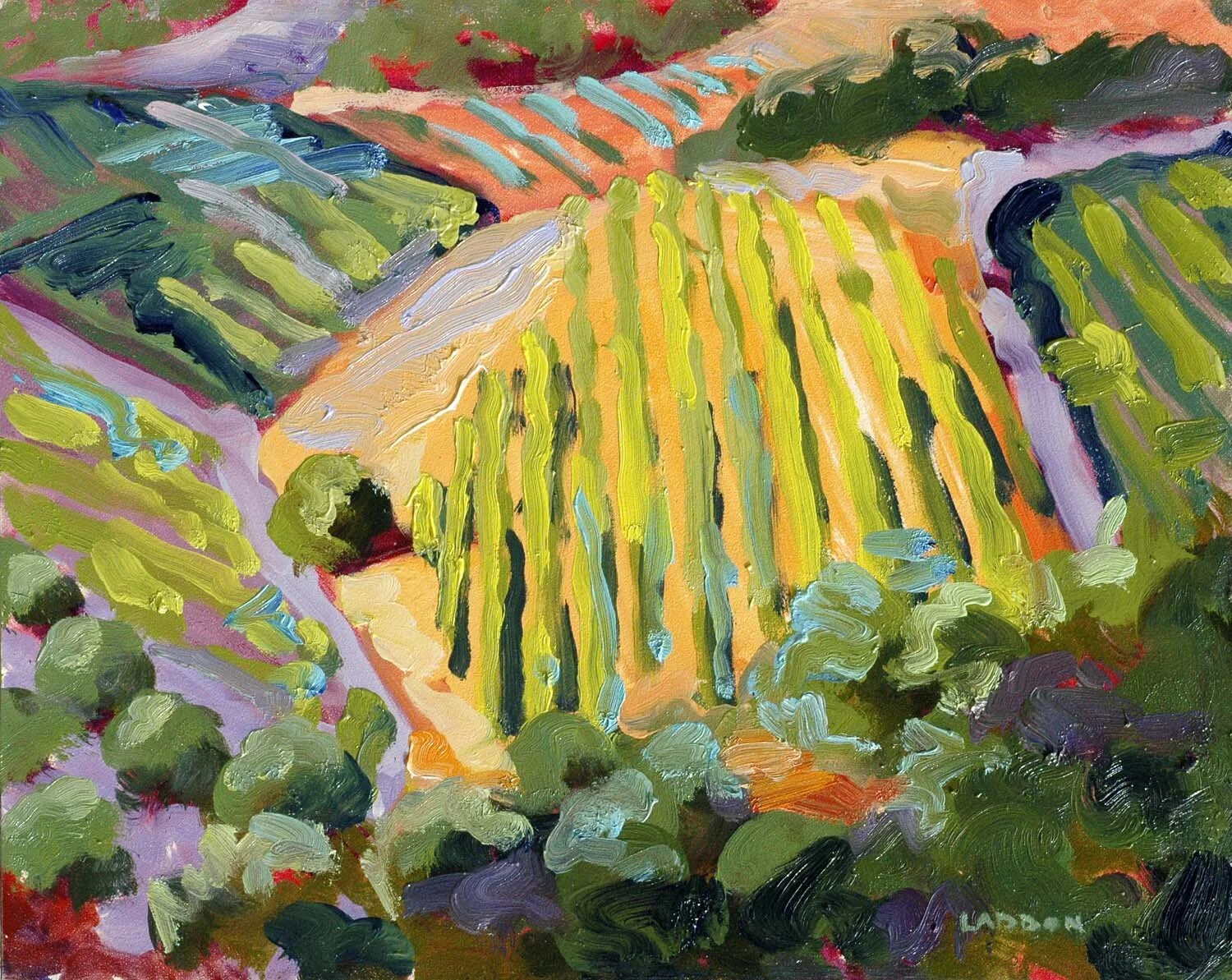 OP 944 Vineyard Patterns.jpg