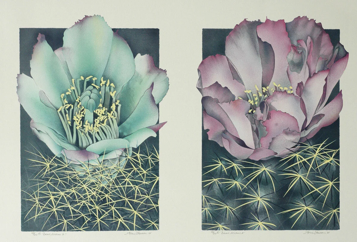 ML 034 & 035 Desert sml.jpg