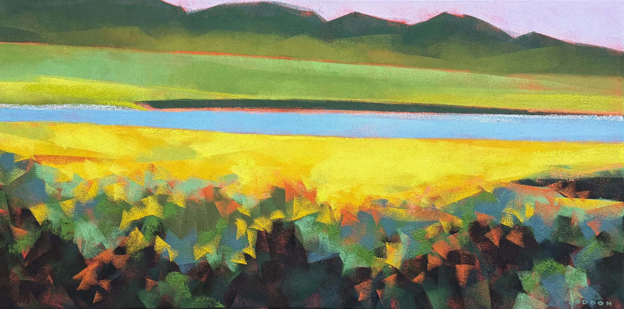 OP 2004 Soda Lake Superbloom.jpg