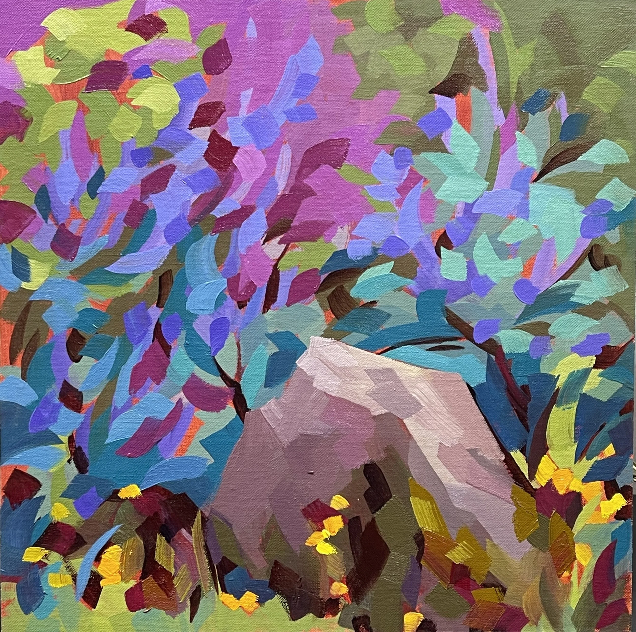 OP 1769 Red Bud near Auberry.jpeg