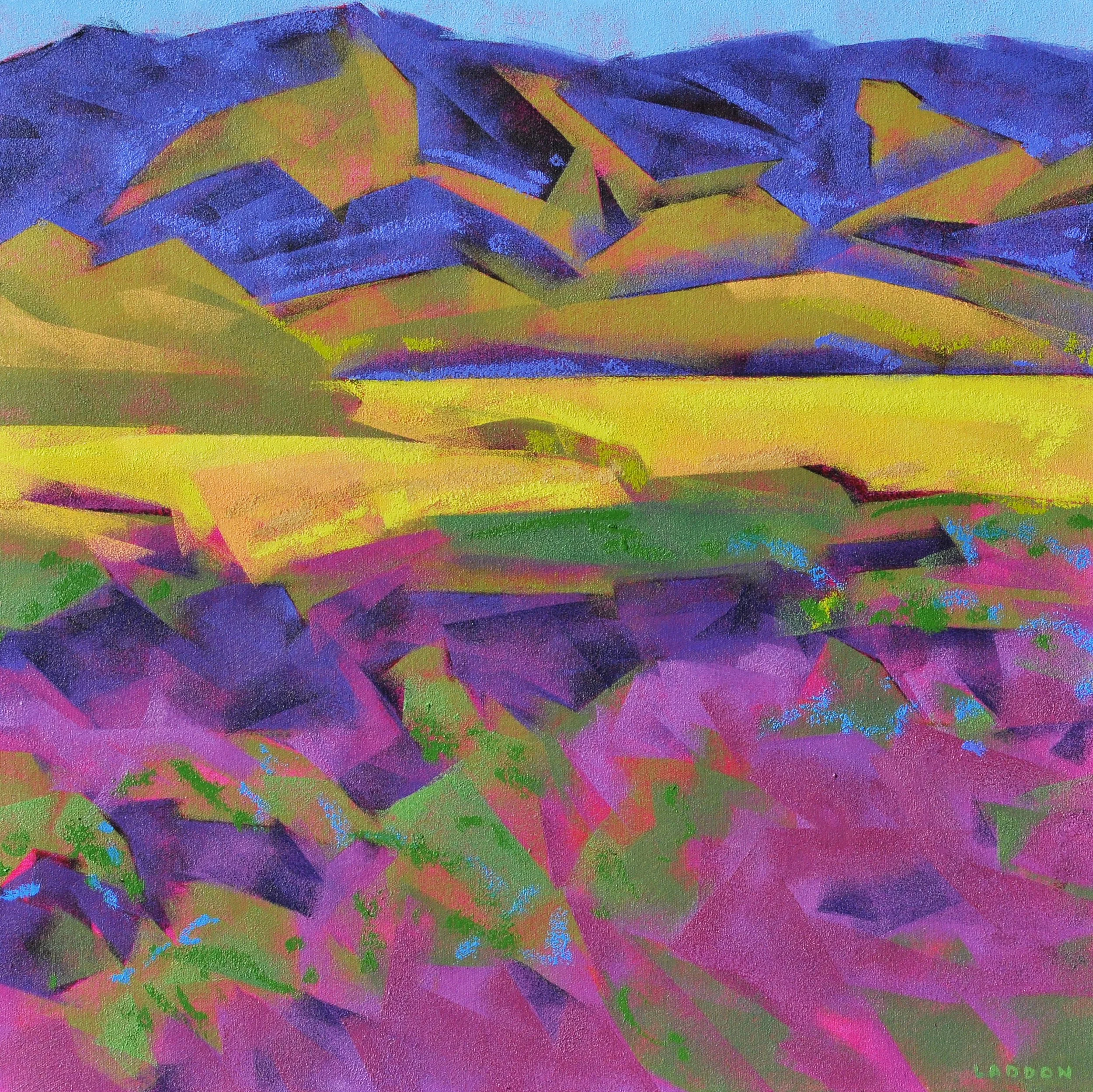 OP 2029 Superbloom at Mid Day for MFA.jpg