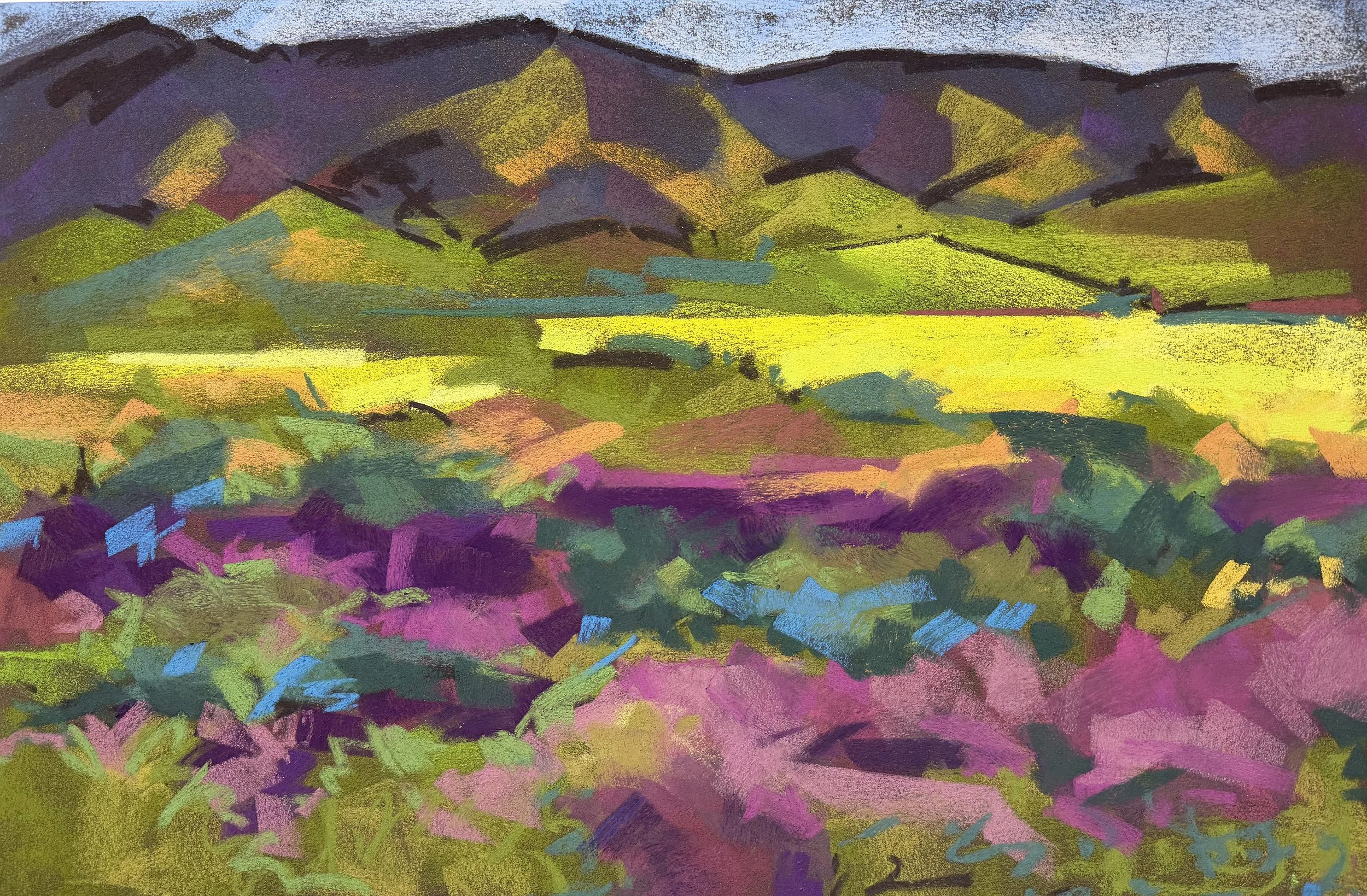 PA 2001 Superbloom.jpg