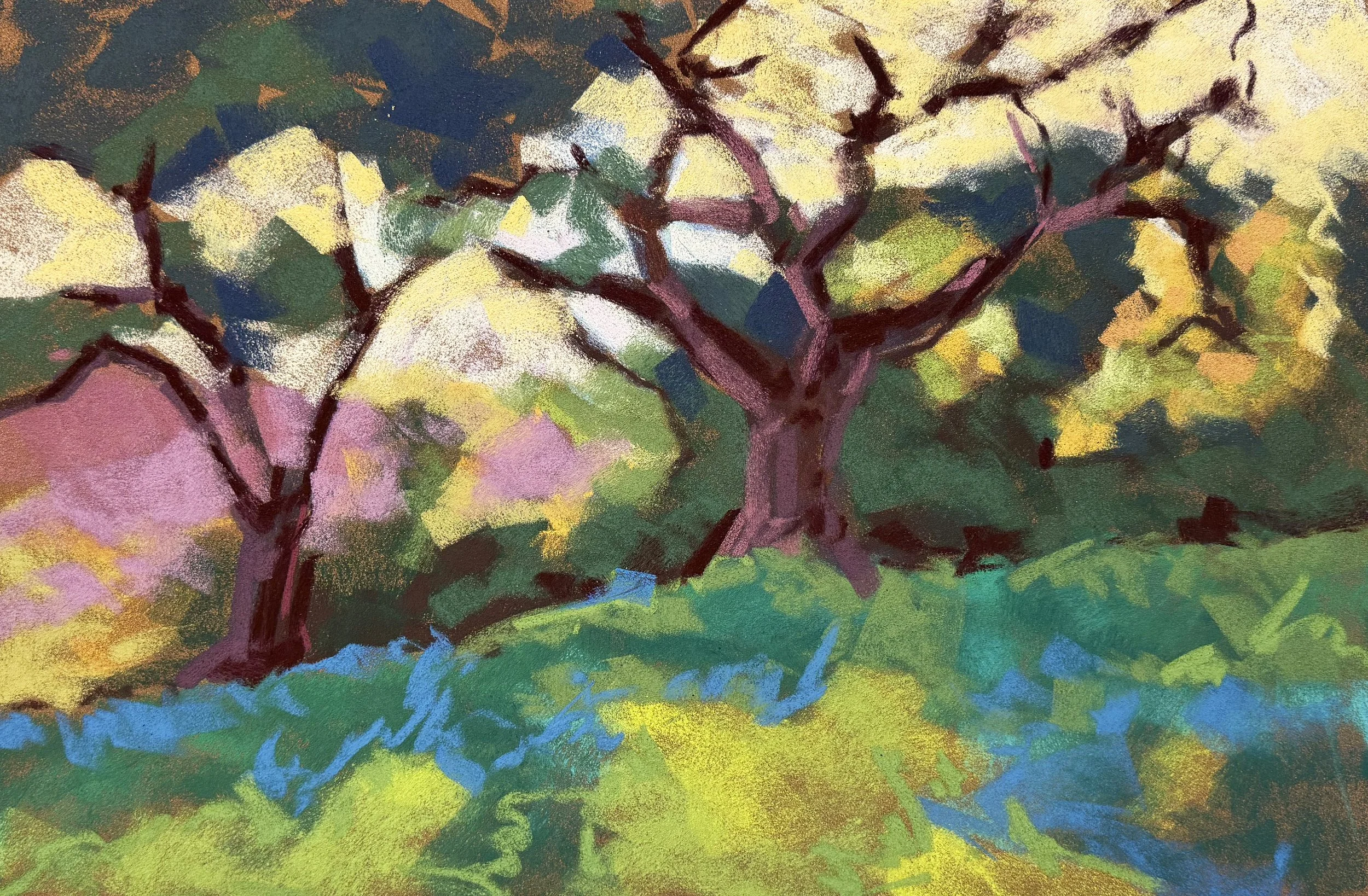 PA 2003 46 Ranch Oak Sunset Glow.jpg