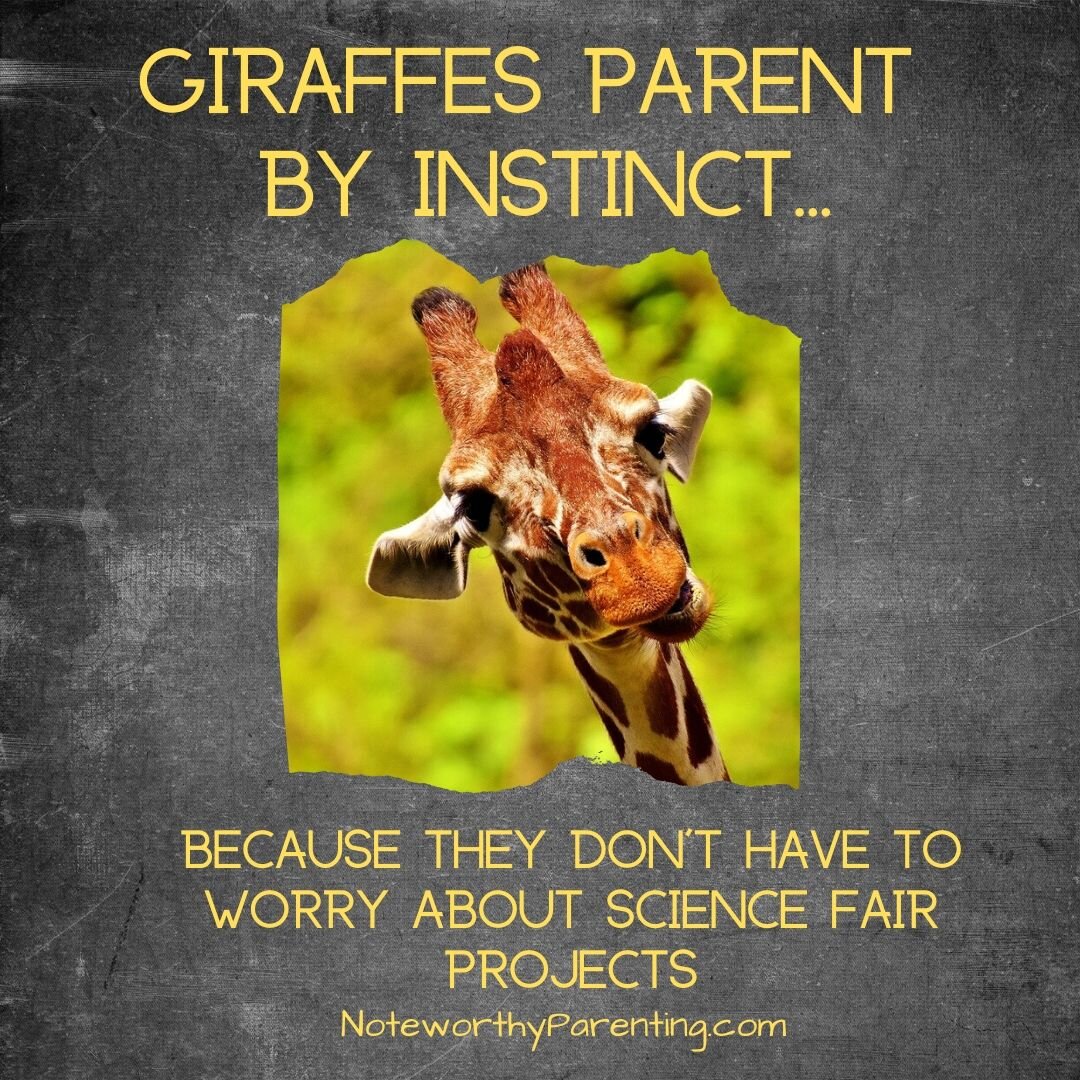 Giraffes Parent.jpg