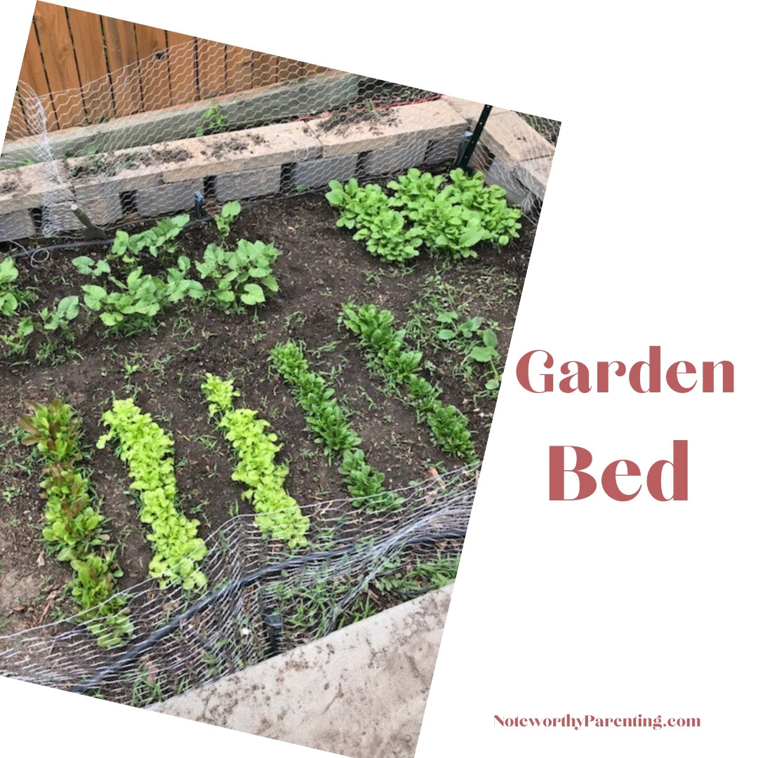 Garden Bed 2.jpg