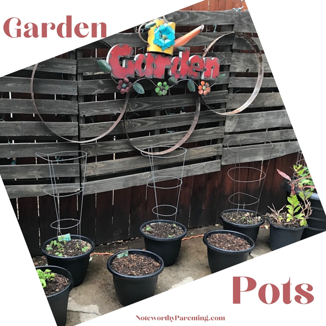 Garden Pots 2.jpg