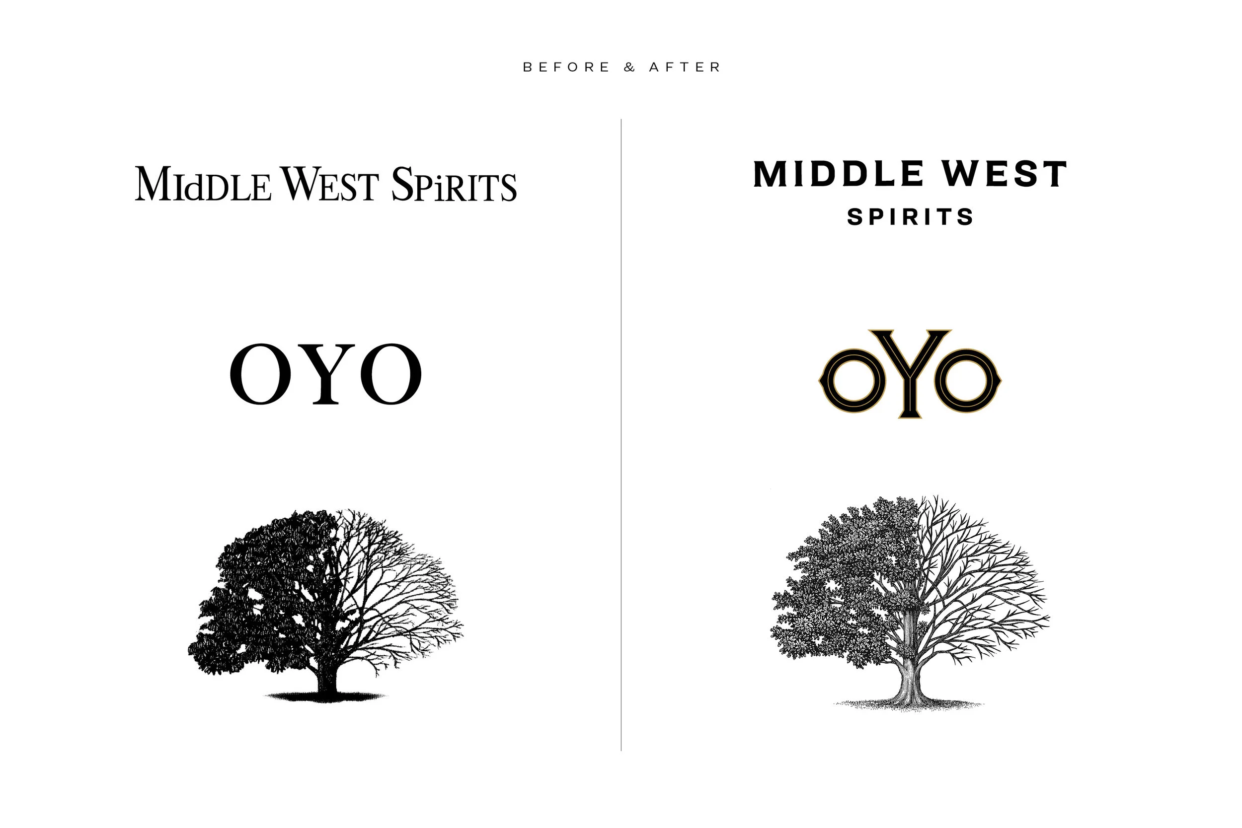 MWS_Brand3.jpg