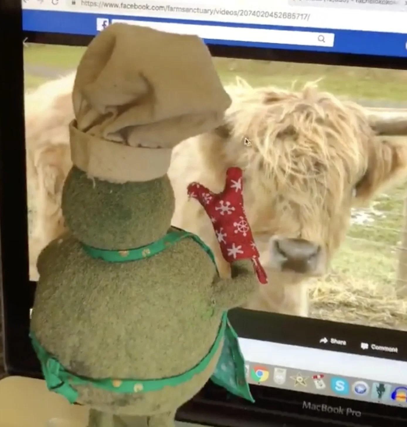 Image 12-24-25 at 4.03 PM.jpeg