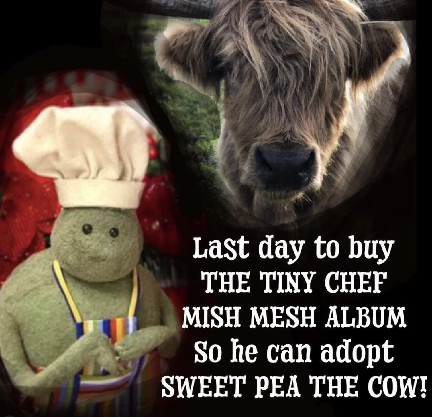 Image 12-24-25 at 4.02 PM.jpeg