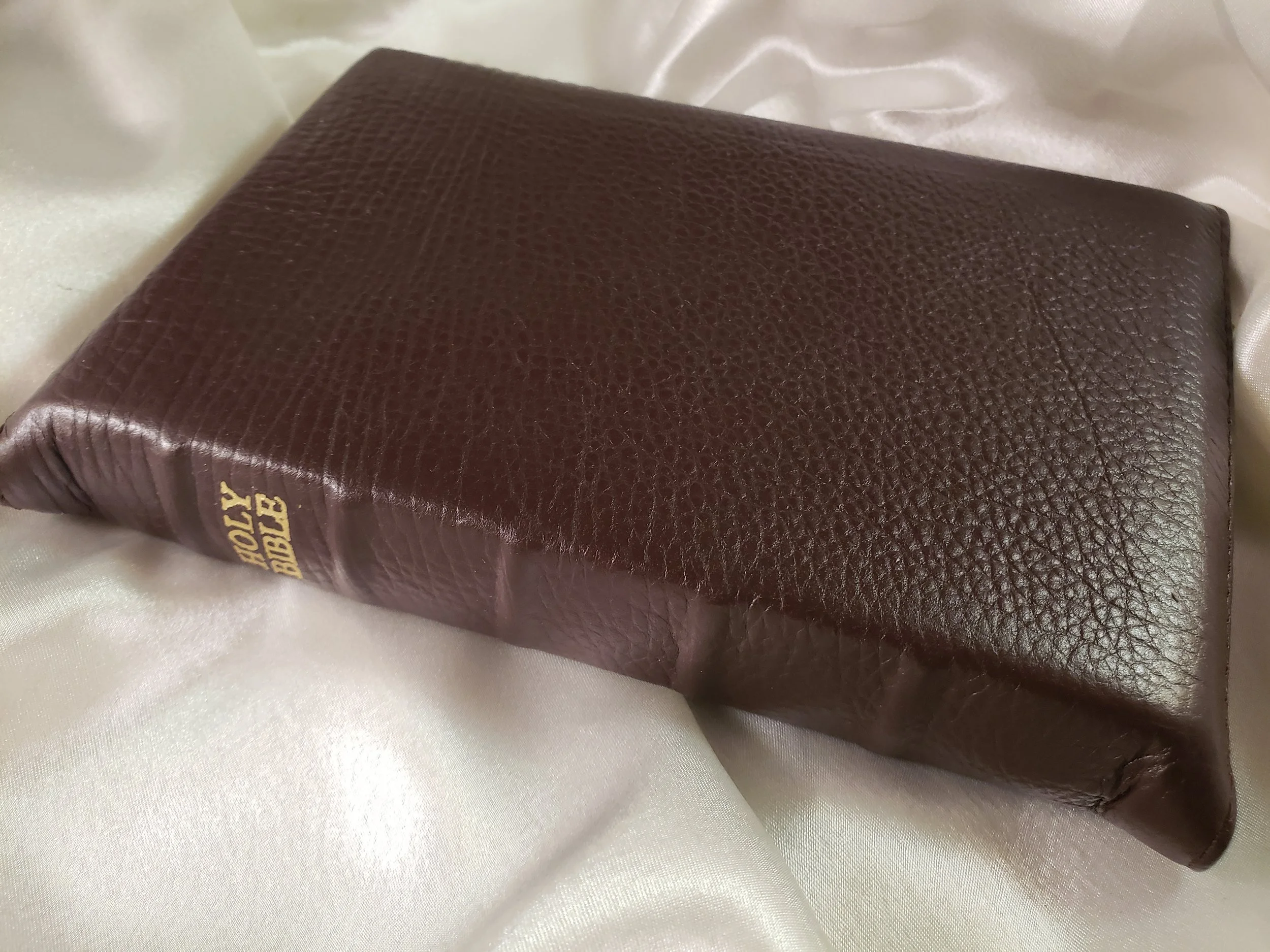 NASB Compact_Brown.jpg
