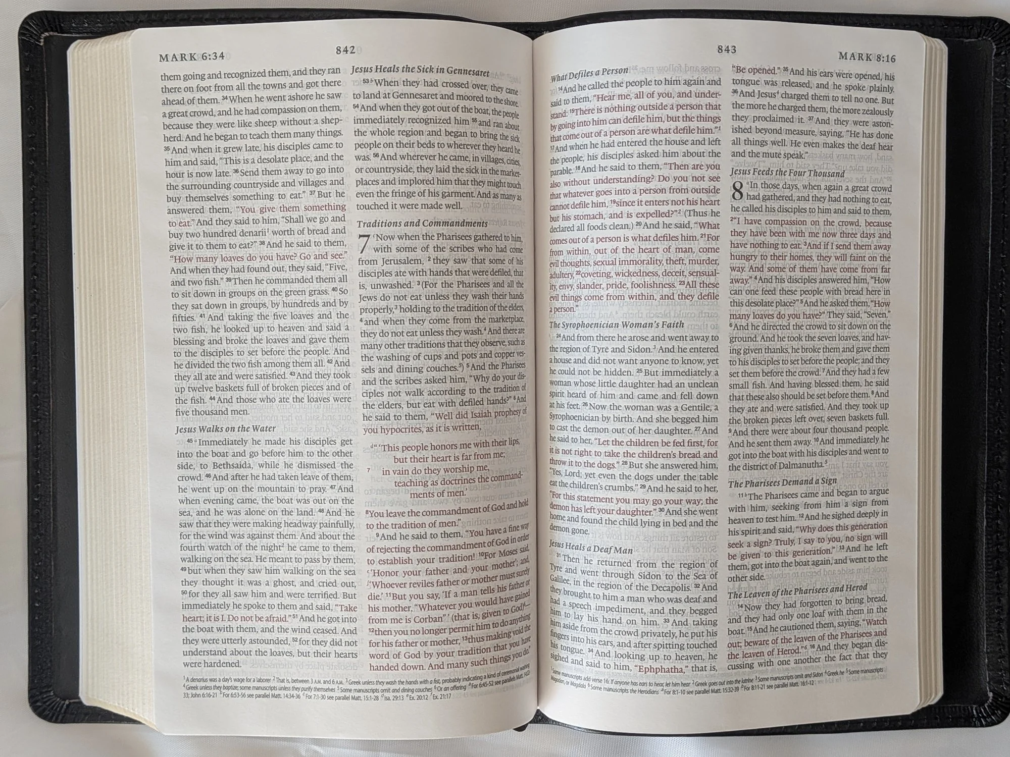 ESV_Thinline_NT.jpg