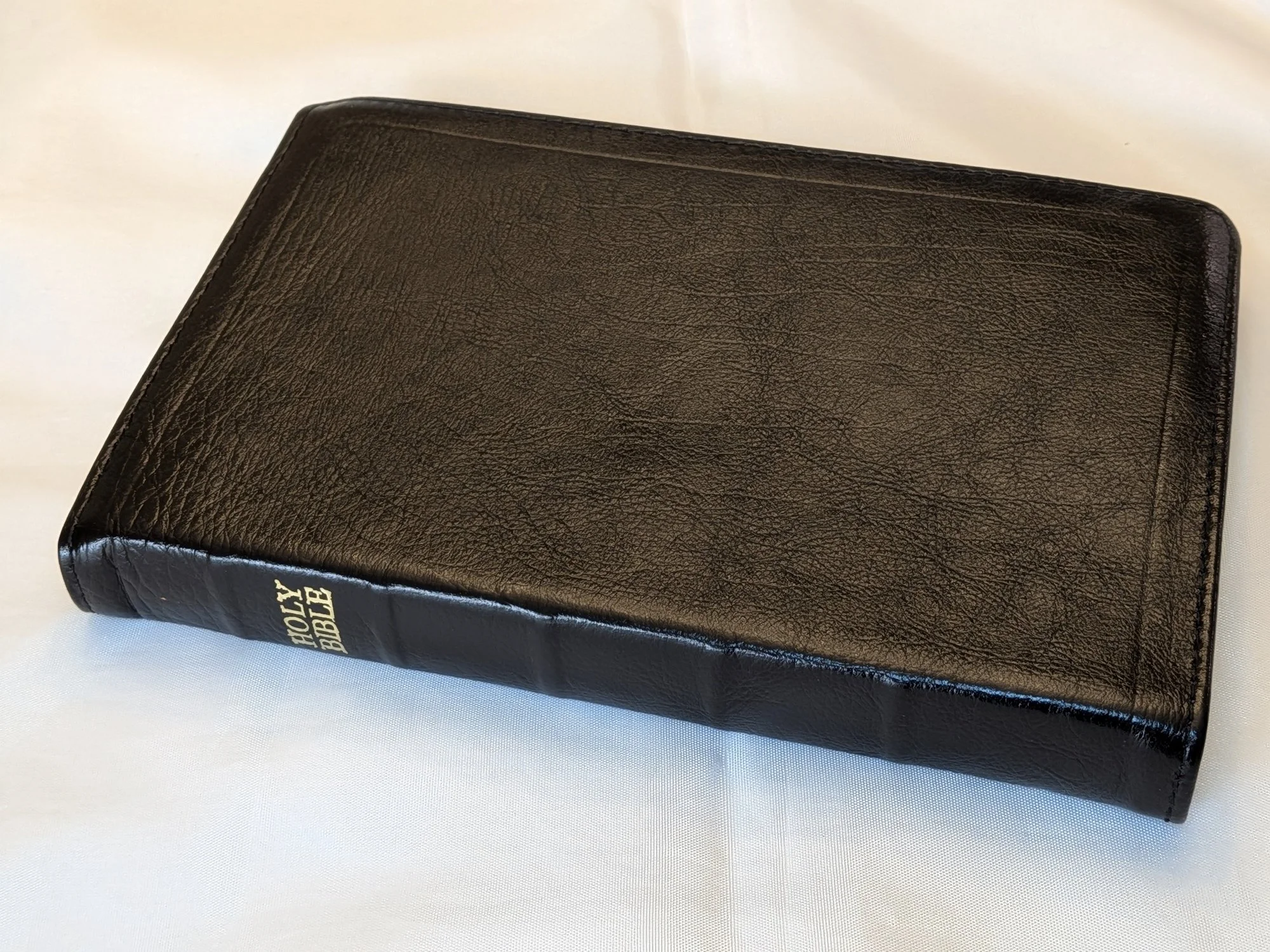 NLT Thinline Reference Bible, Red Letter Edition - Exclusive Calfskin